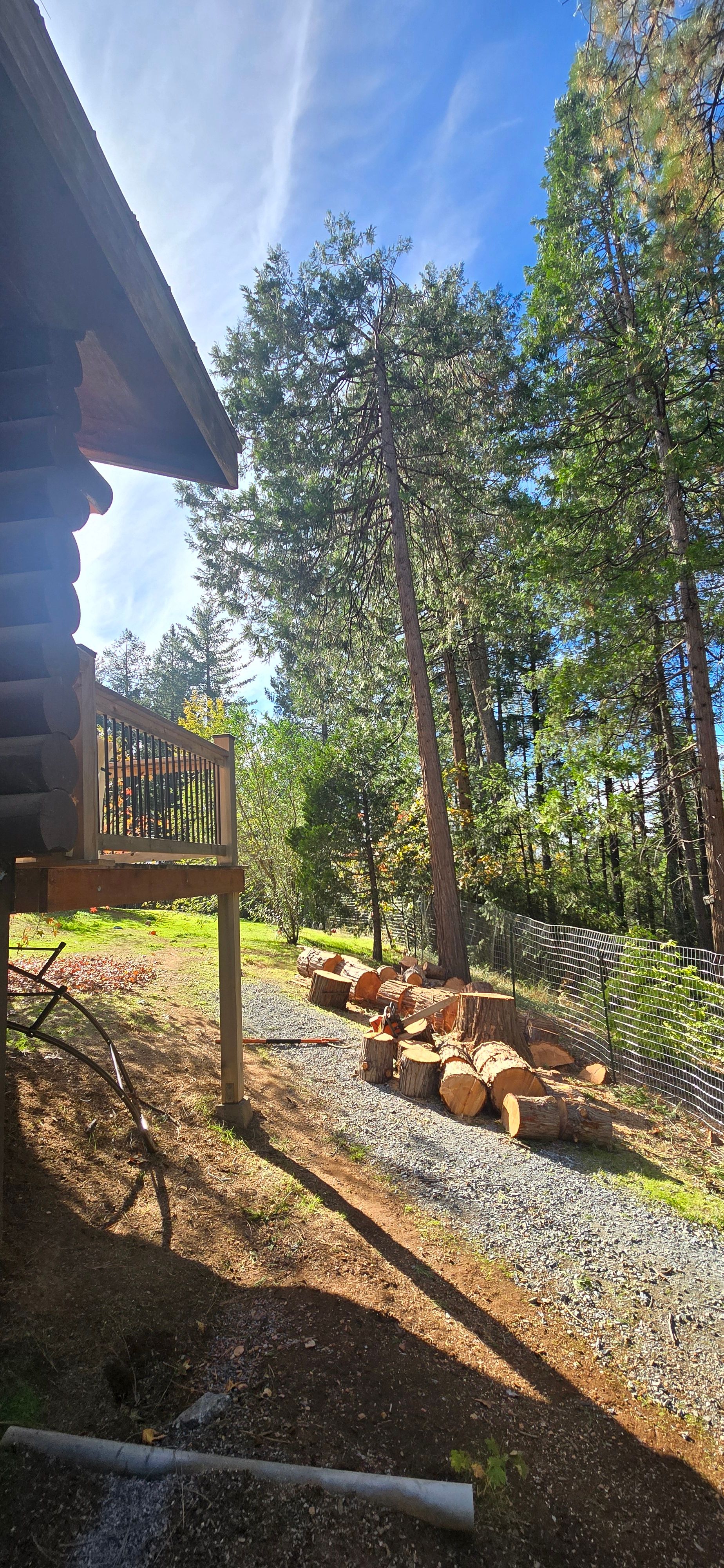  for George Staddan's Professional Tree Care in Placerville, CA