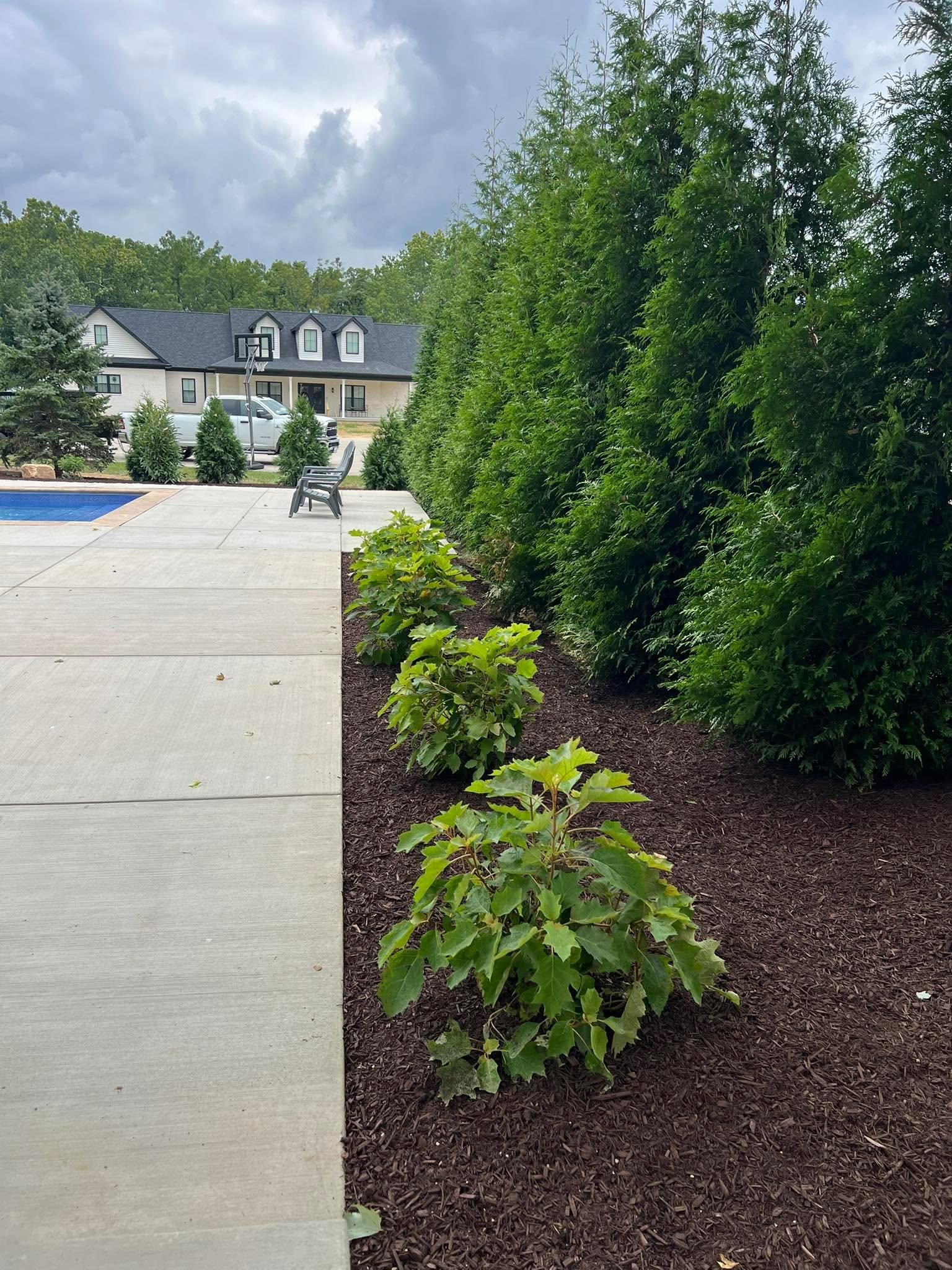  for Full Service Landscaping in Louisville, KY