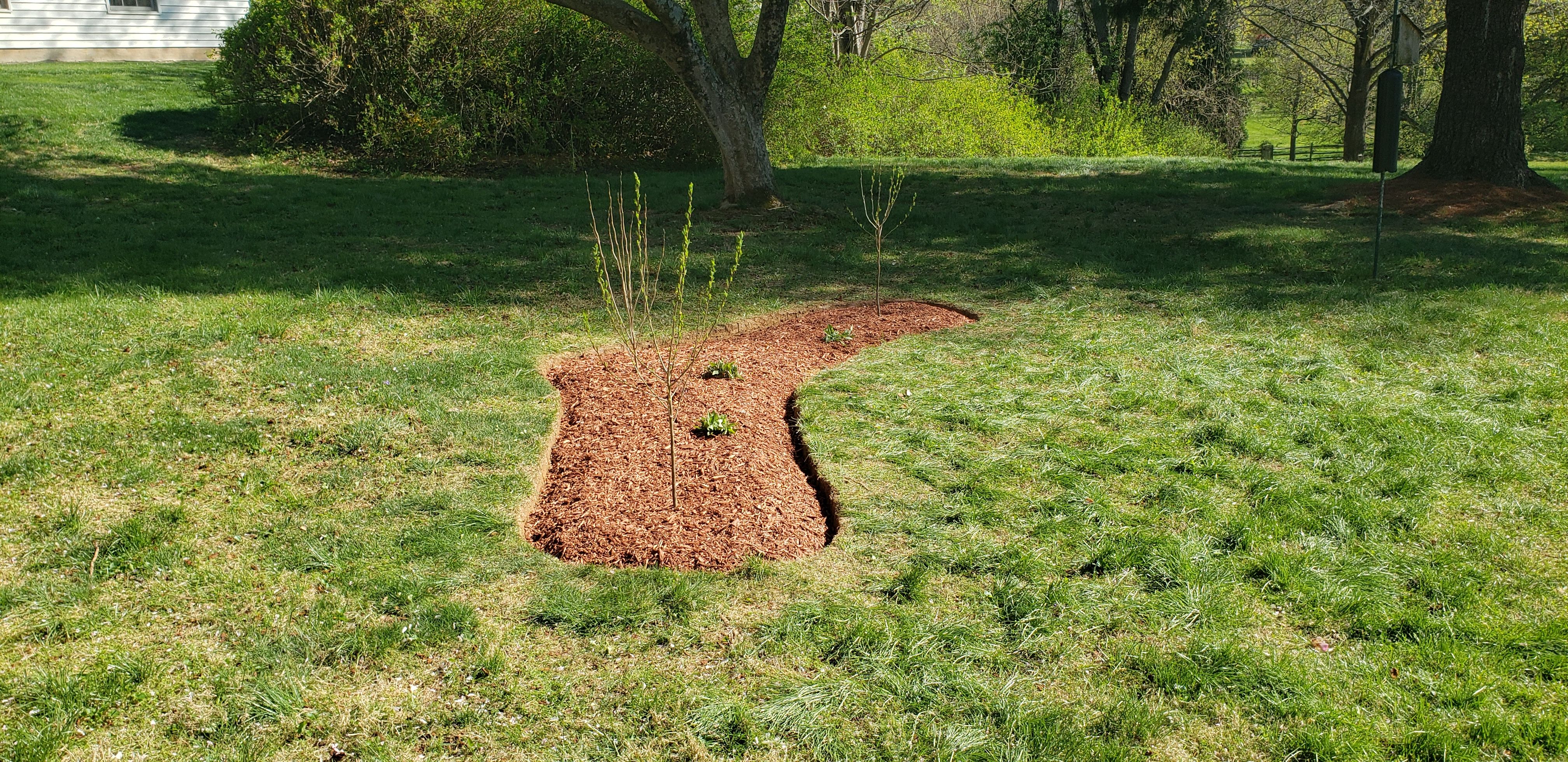  for Clean Cut Lawns & Landscaping in Dickerson, MD