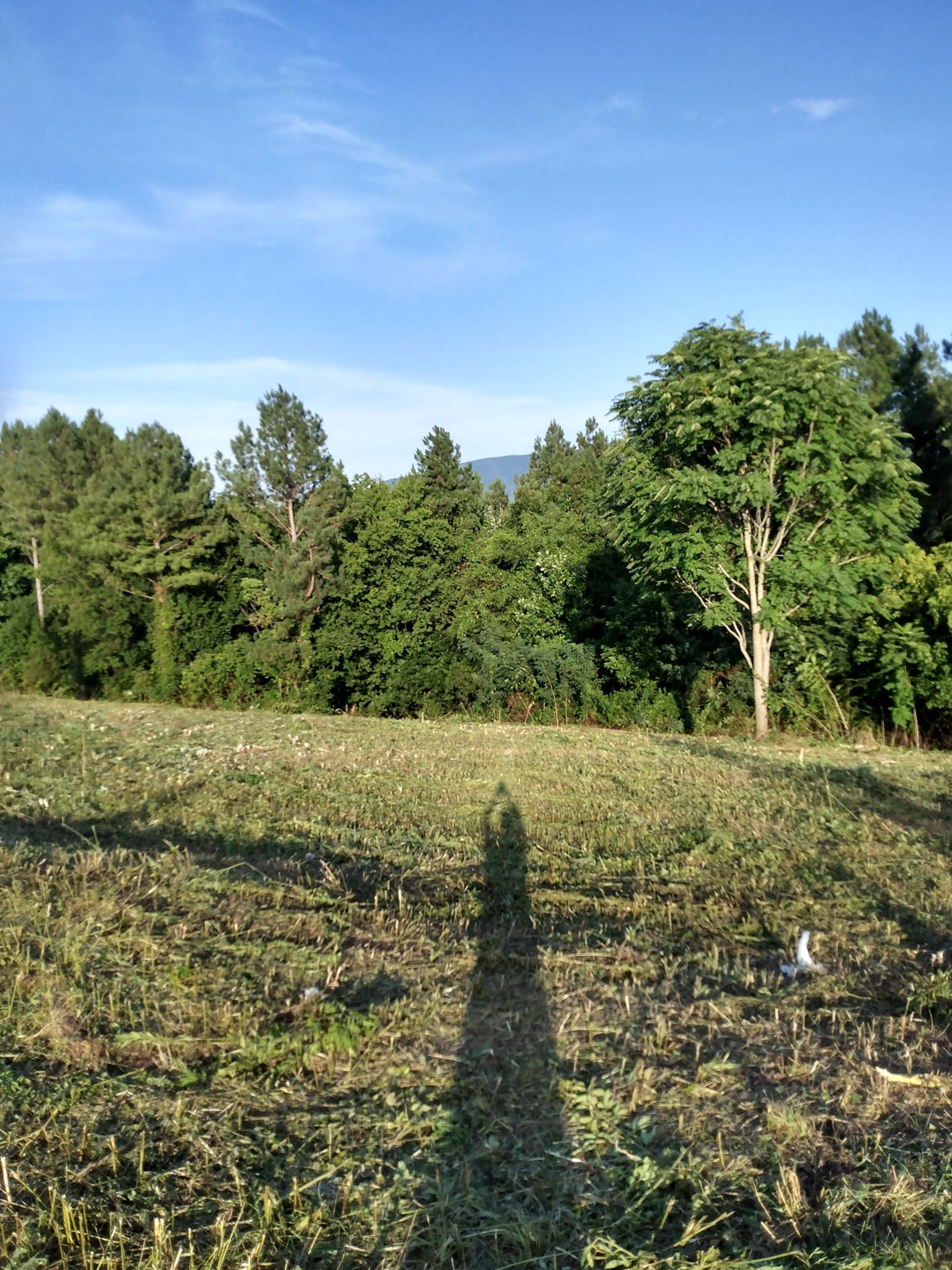  for KWL Lawn Care in Etowah, TN