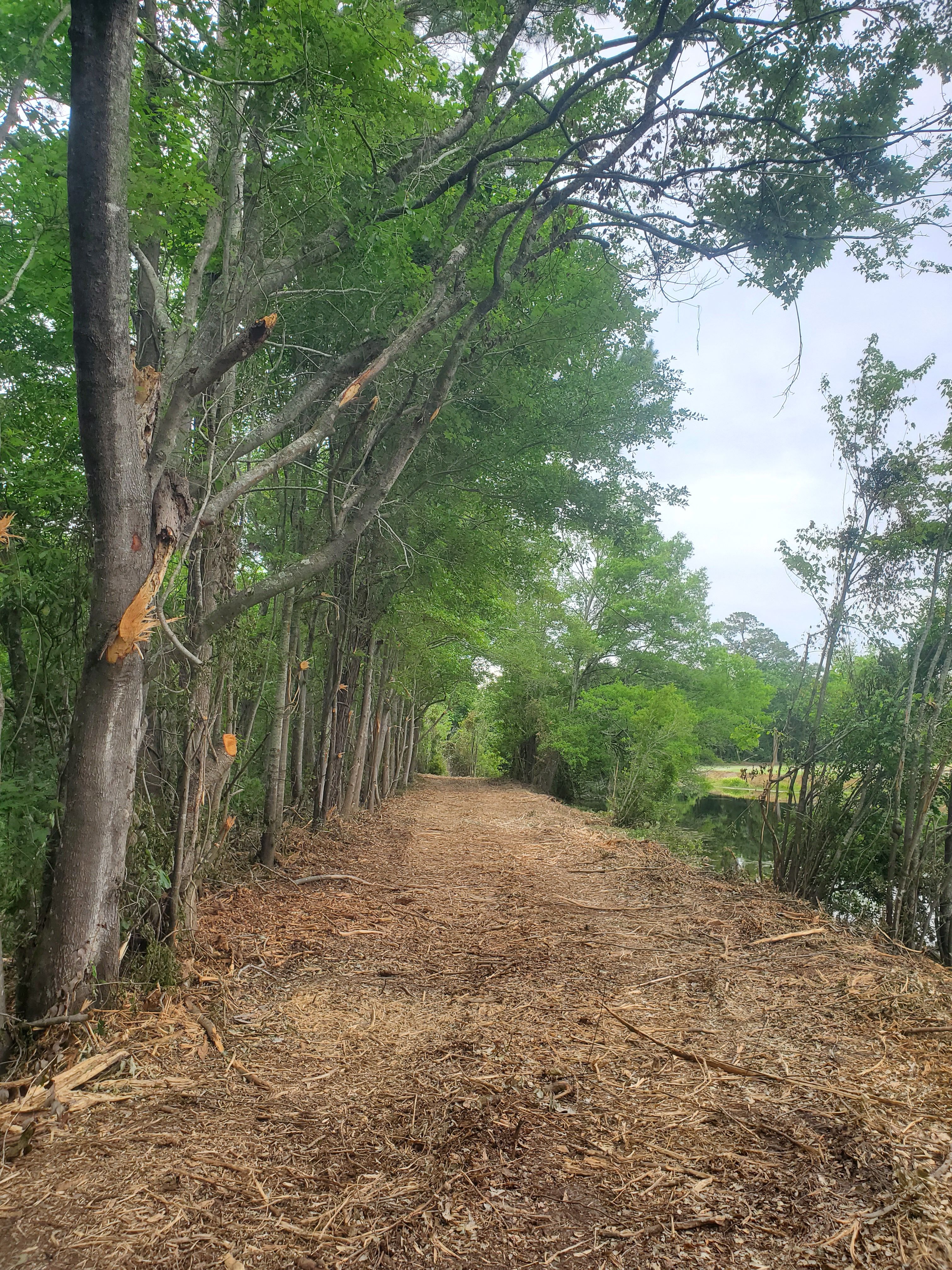 All Photos for TJ Farm and Land Management in Loris, SC