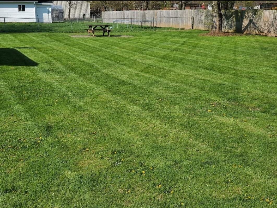 All Photos for Tingley's Green Land Services in Springfield, Ohio