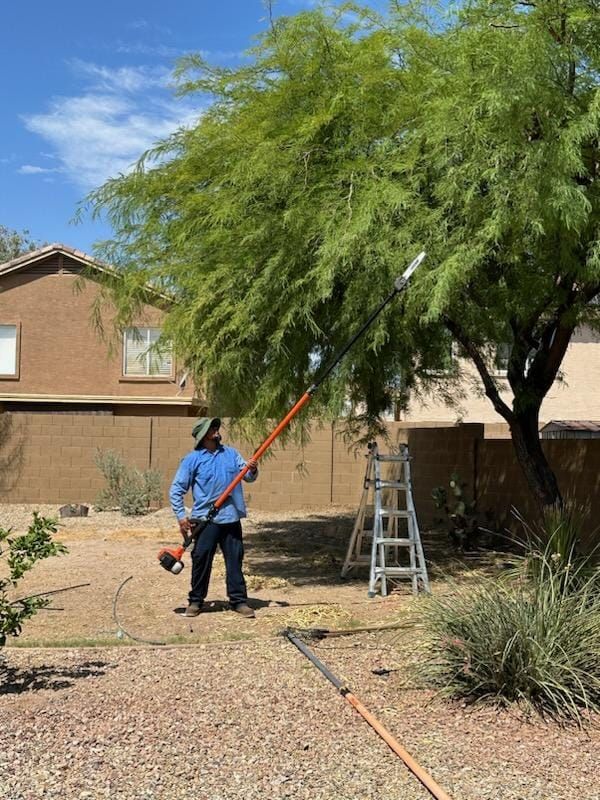  for Camacho AZ Landscaping LLC in Peoria, AZ