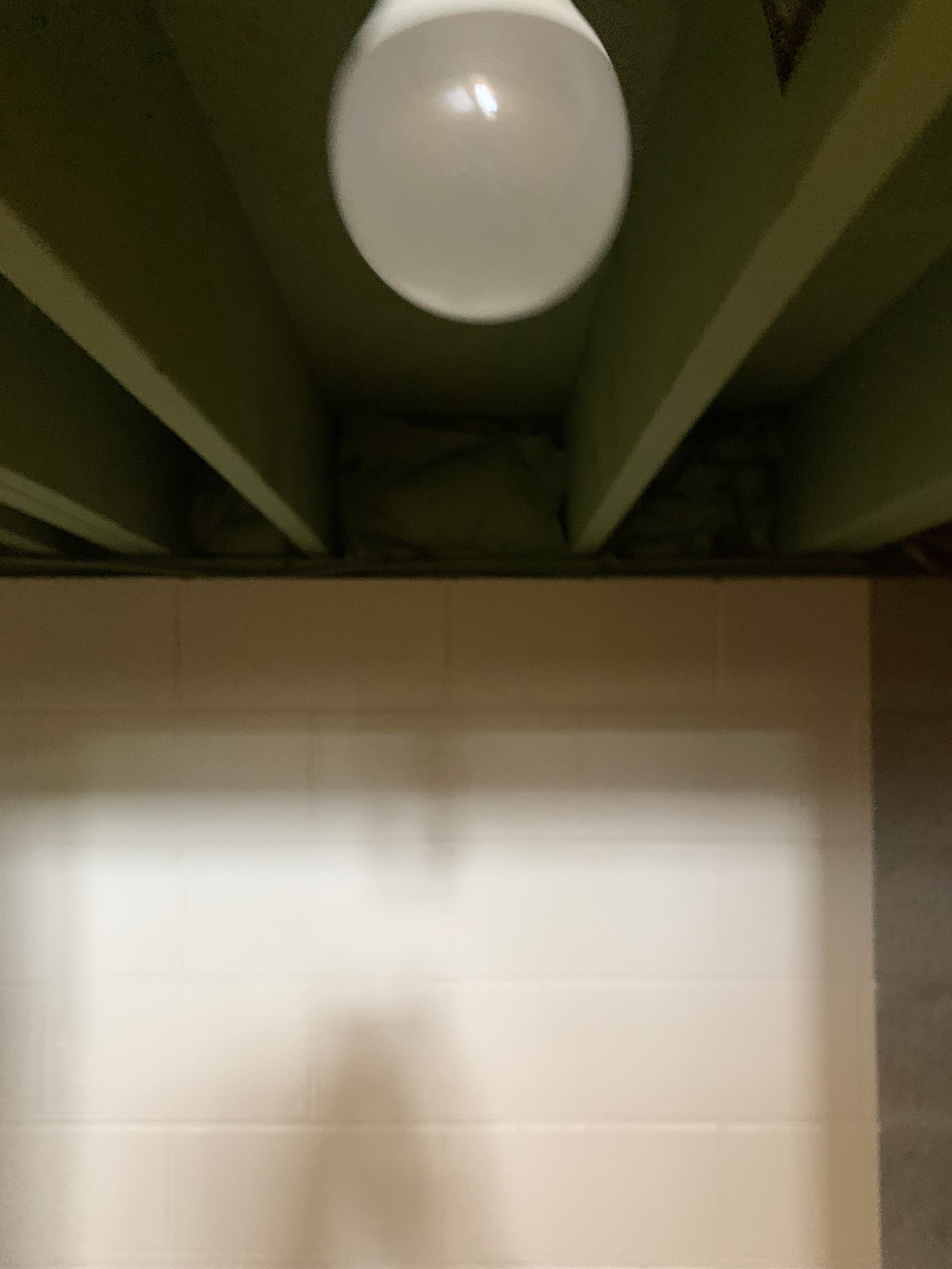  for Staib & Son Painting & Decorating Llc. in Jackson, MI