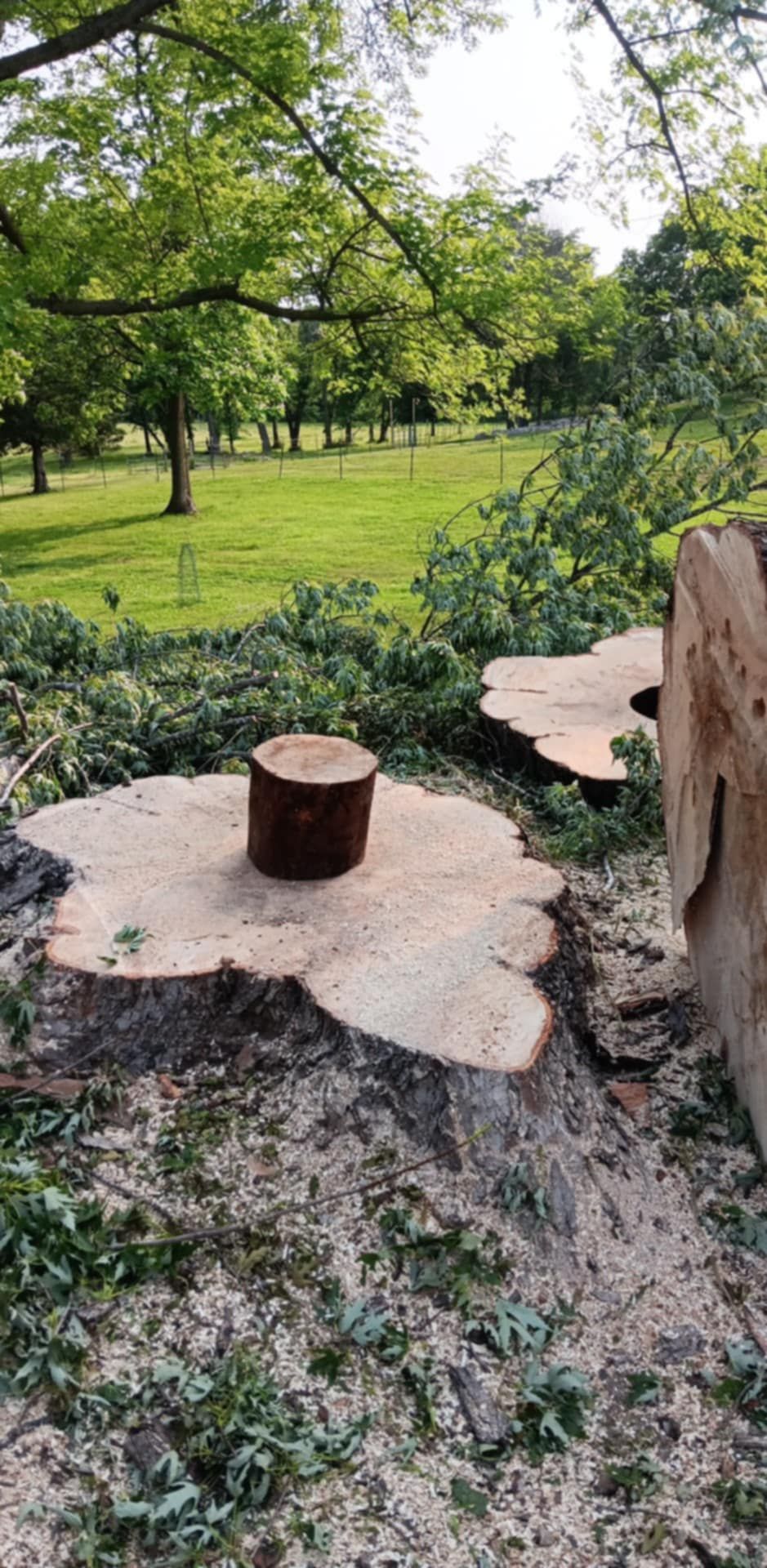  for Lawn Ranger Yard And Tree Service LLC in Ottumwa, IA