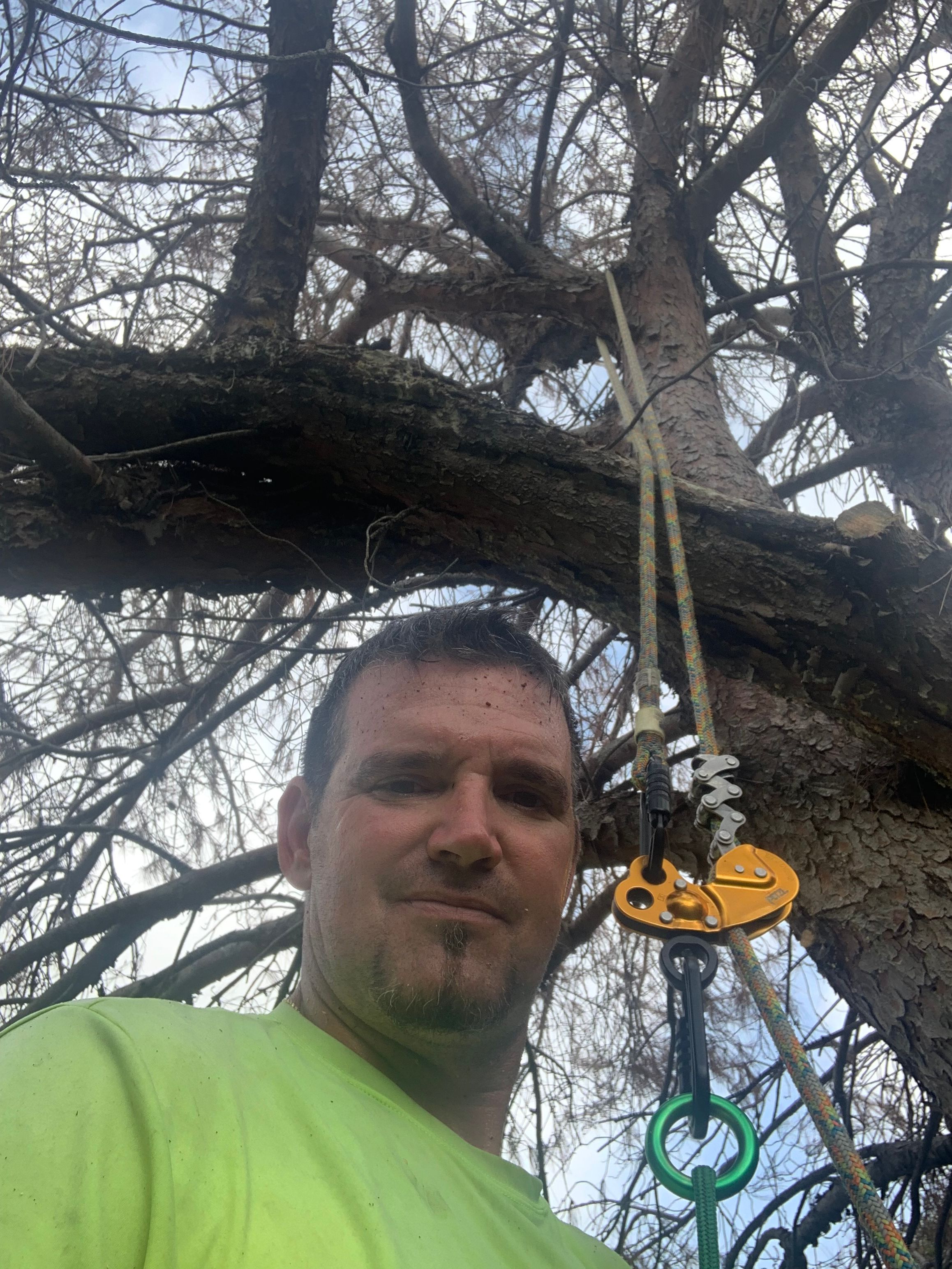  for TLC Professional Tree Service in Bedford, TX