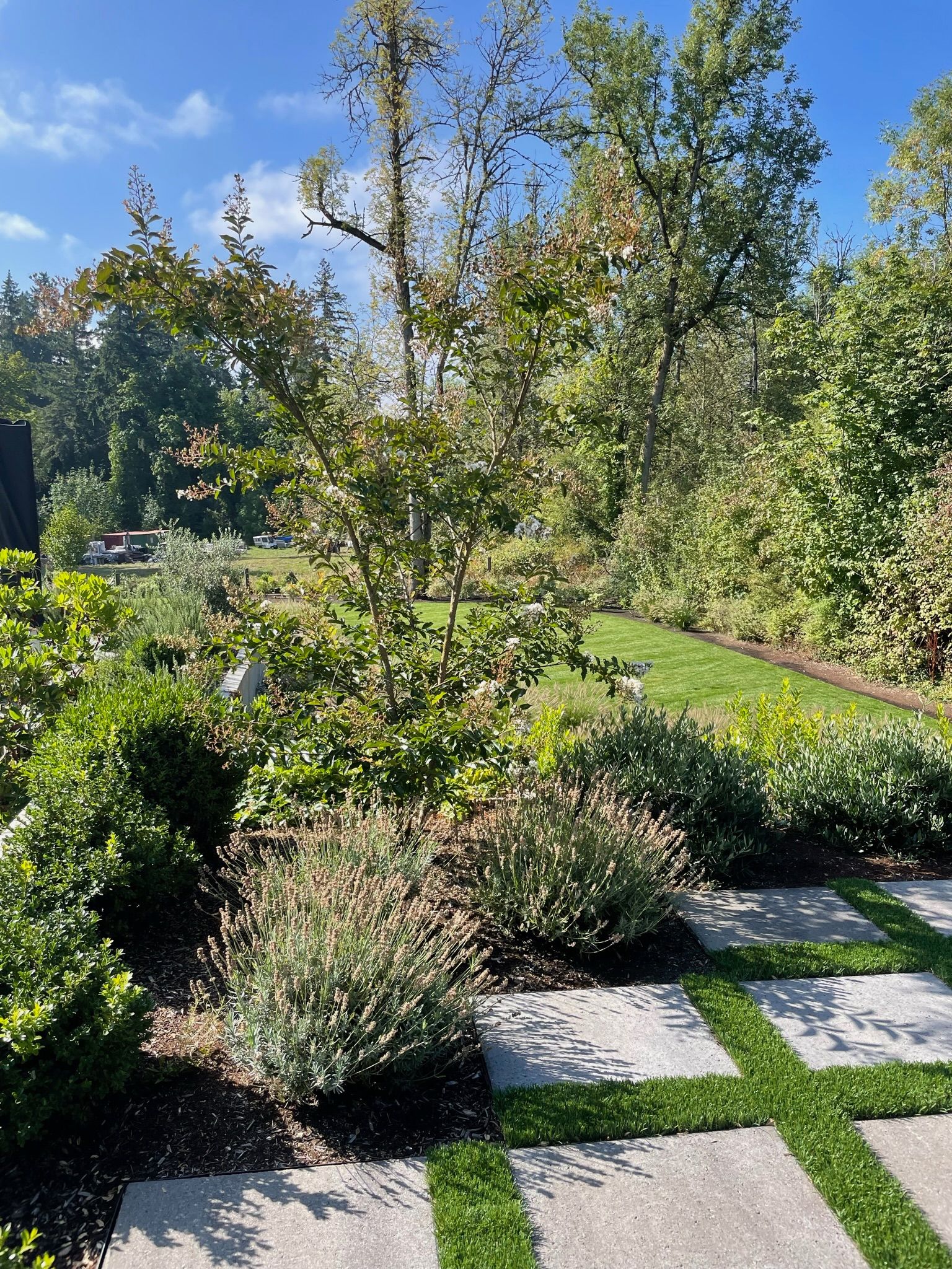  for Courtney Lewis Landscape Design in Portland, OR