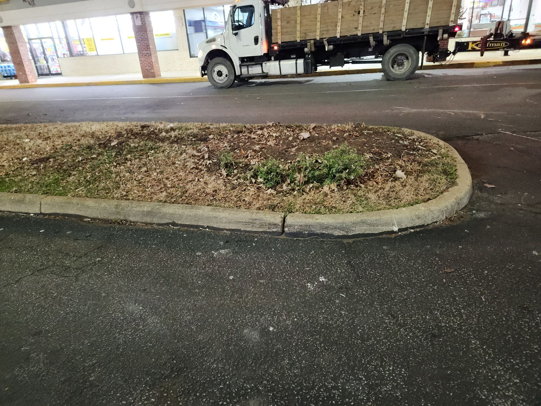  for Tidewater Tree Service in Chesapeake, VA