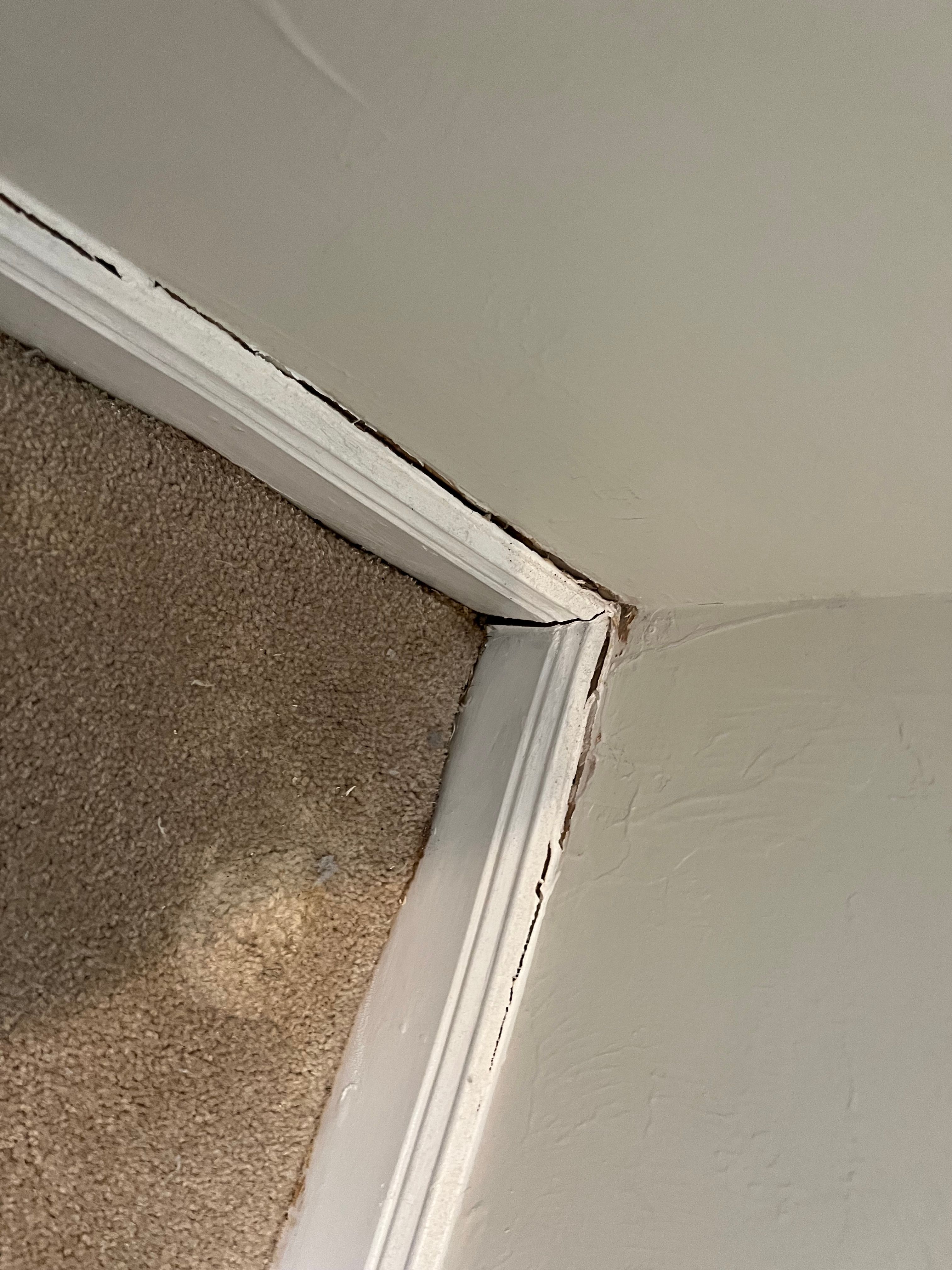  for N&D Restoration Services When Disaster Strikes, We Come In in Cape Coral,  FL