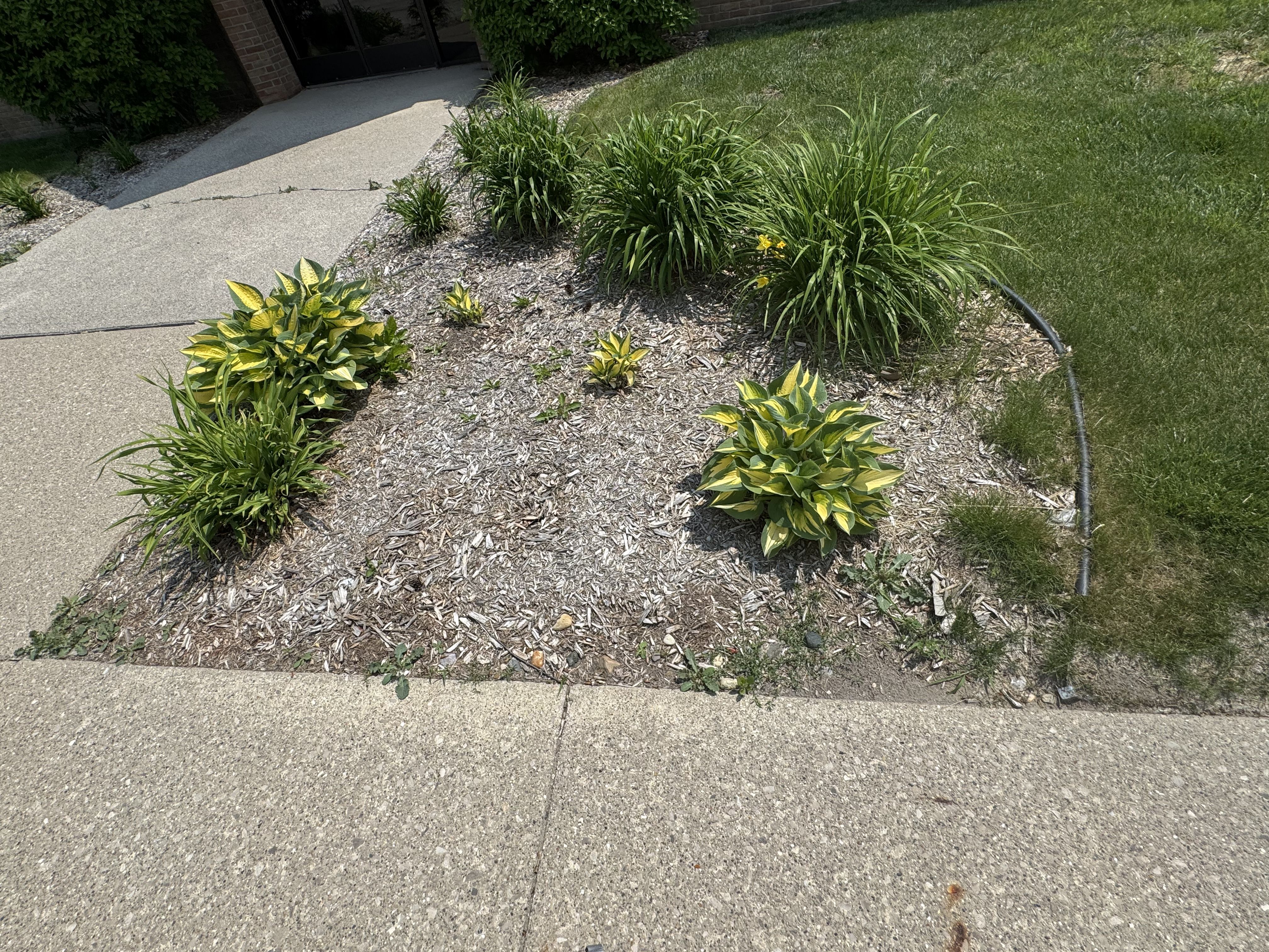  for Daugherty's Tough Lawn Care in Essexville, MI