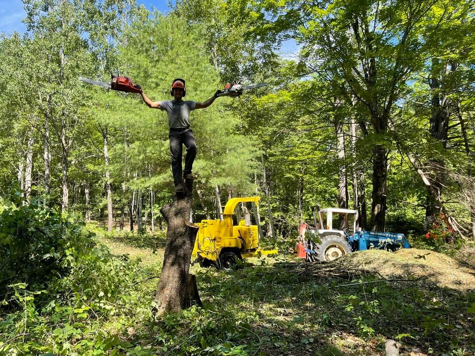  for Willett's Forest and Property Maintenance in 03278, NH