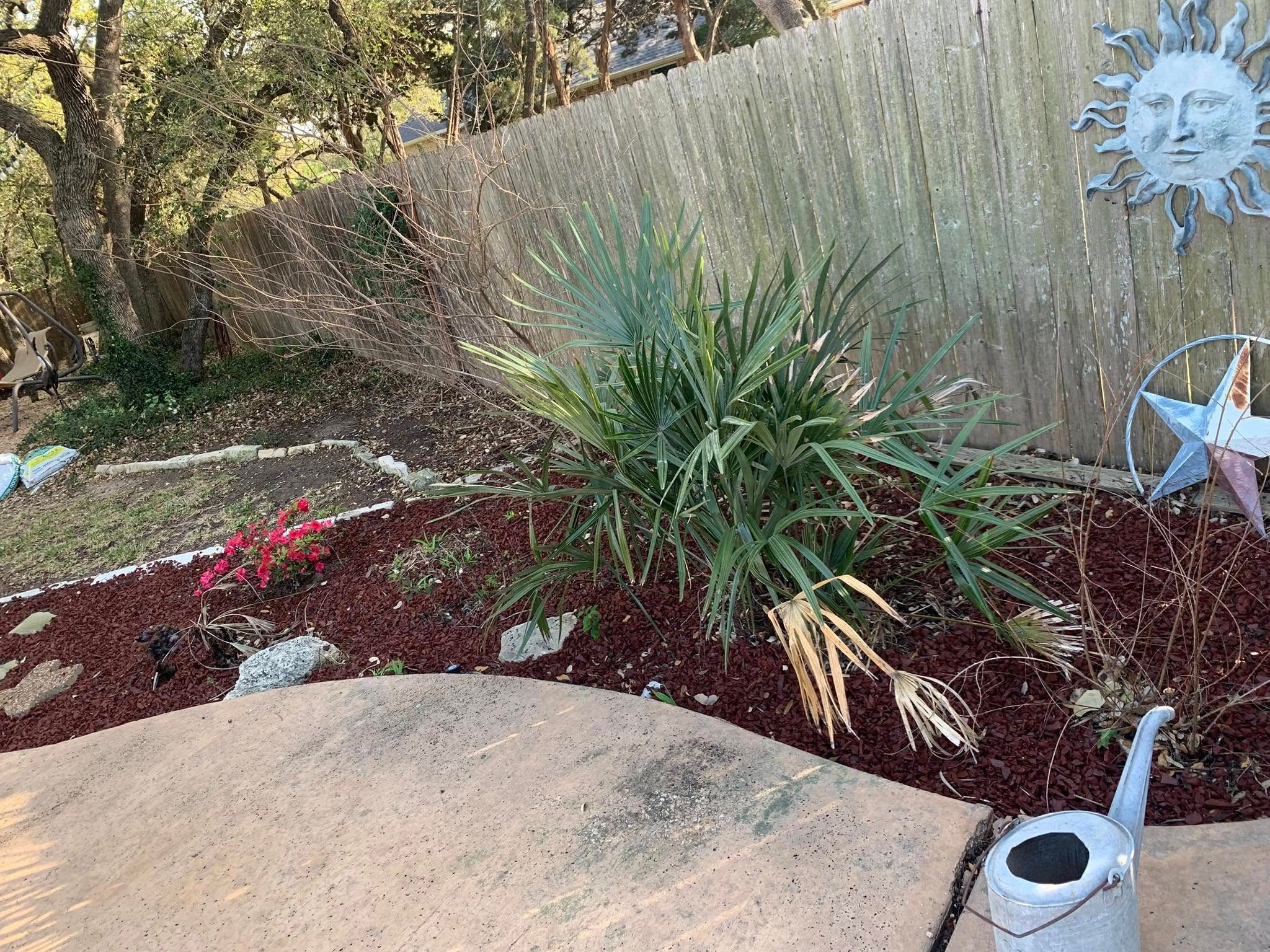  for Scalpel Lawn Service in Temple, TX