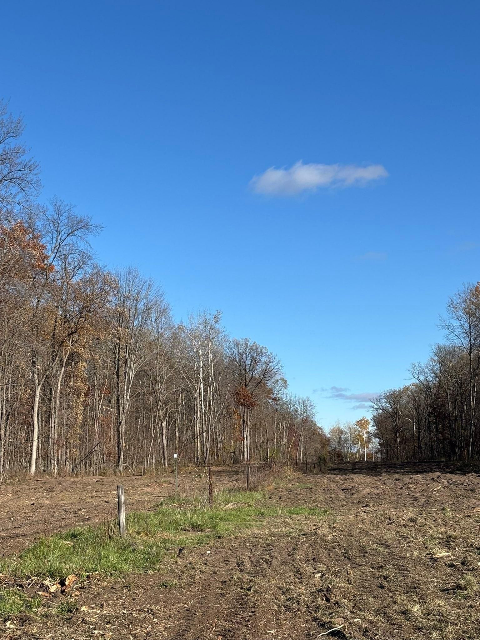  for Premier Services in New London, MN