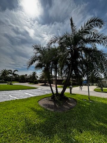 for Vanic's Landscaping in Port Orange, FL