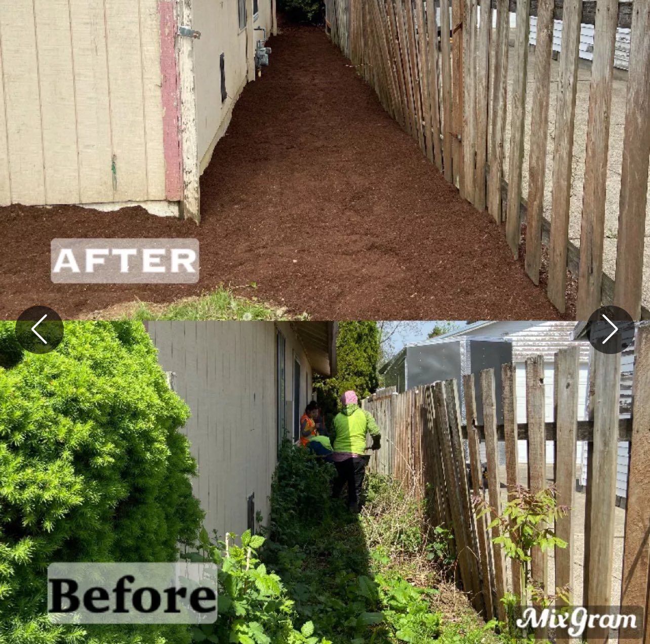 Tree Removal for T&S Tree Care LLC in Portland, OR