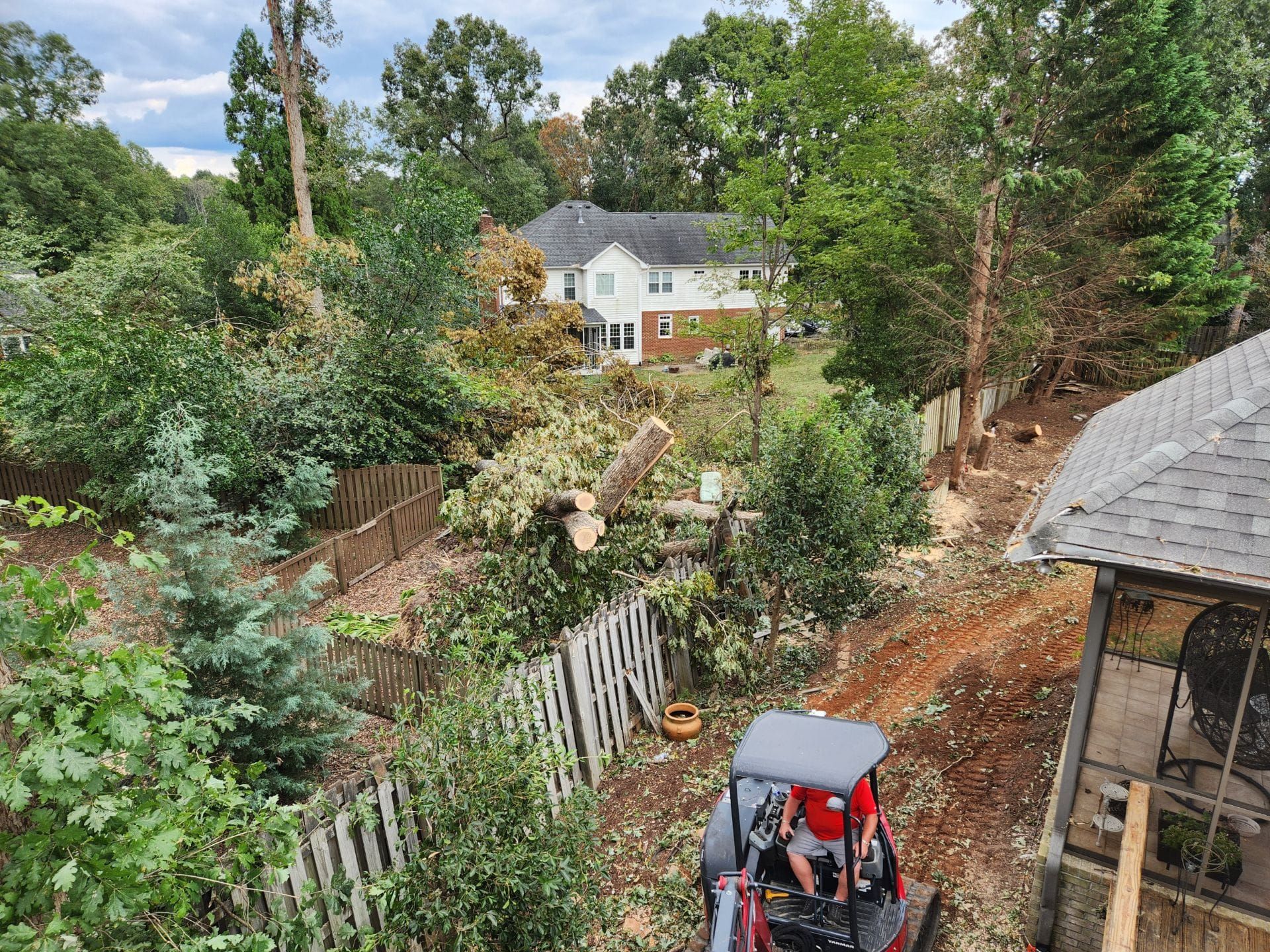 Tree Removal for Stumpbusters Tree Service in Louisa County, VA