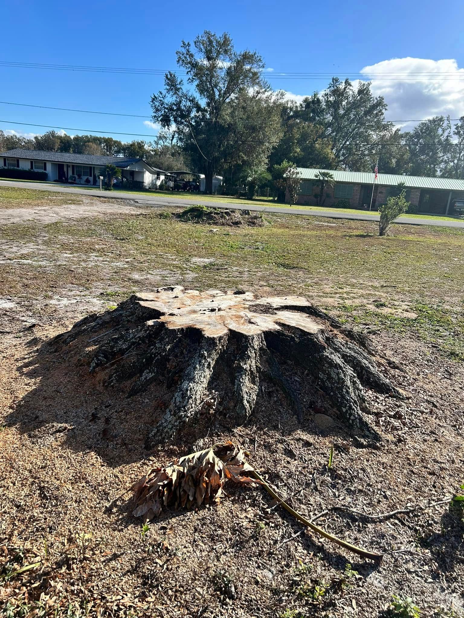  for Greene Acres Stump Grinding in Plant City, FL