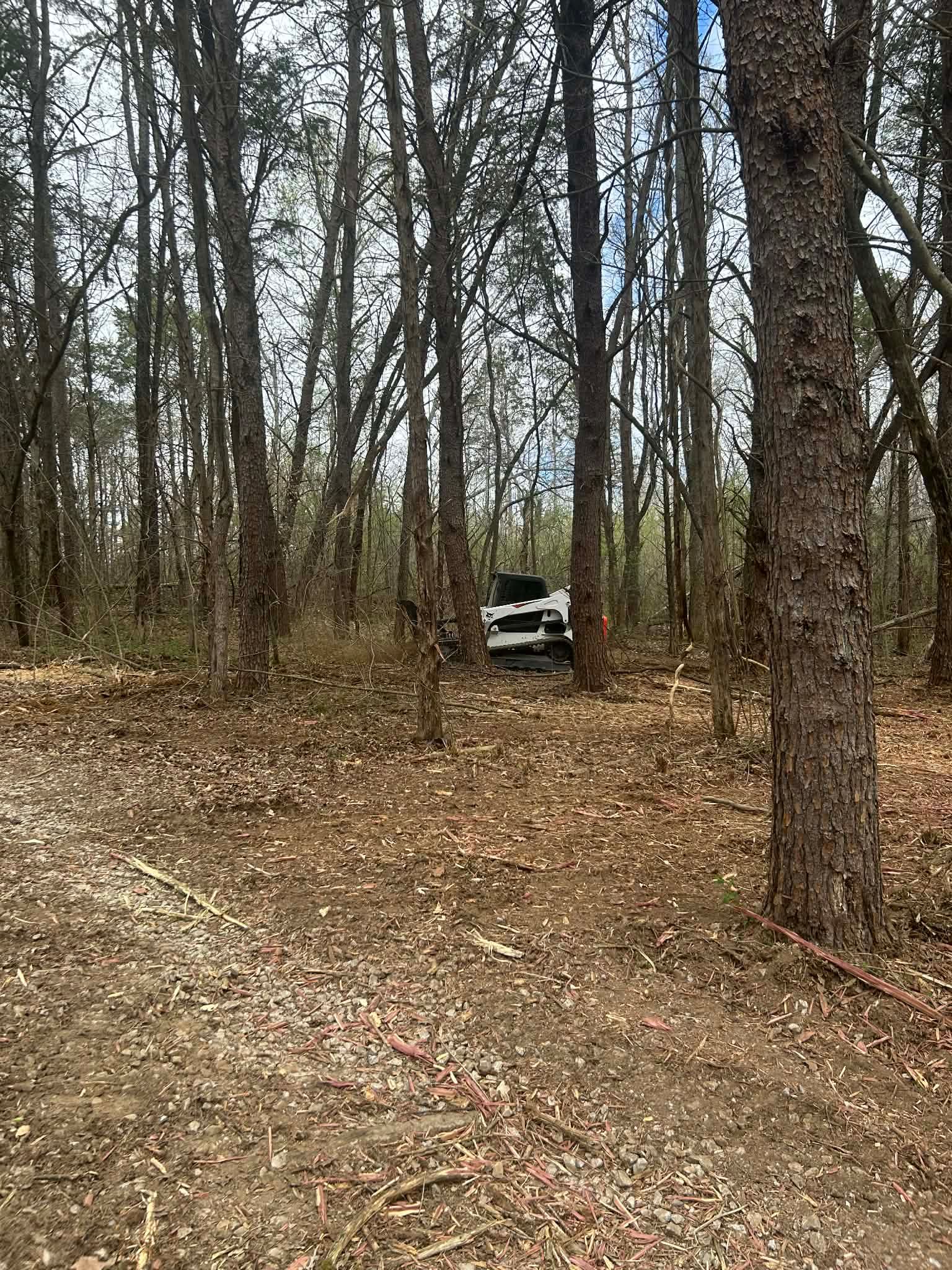  for Z's Land Management & Forestry Mulching in Smithville, TN