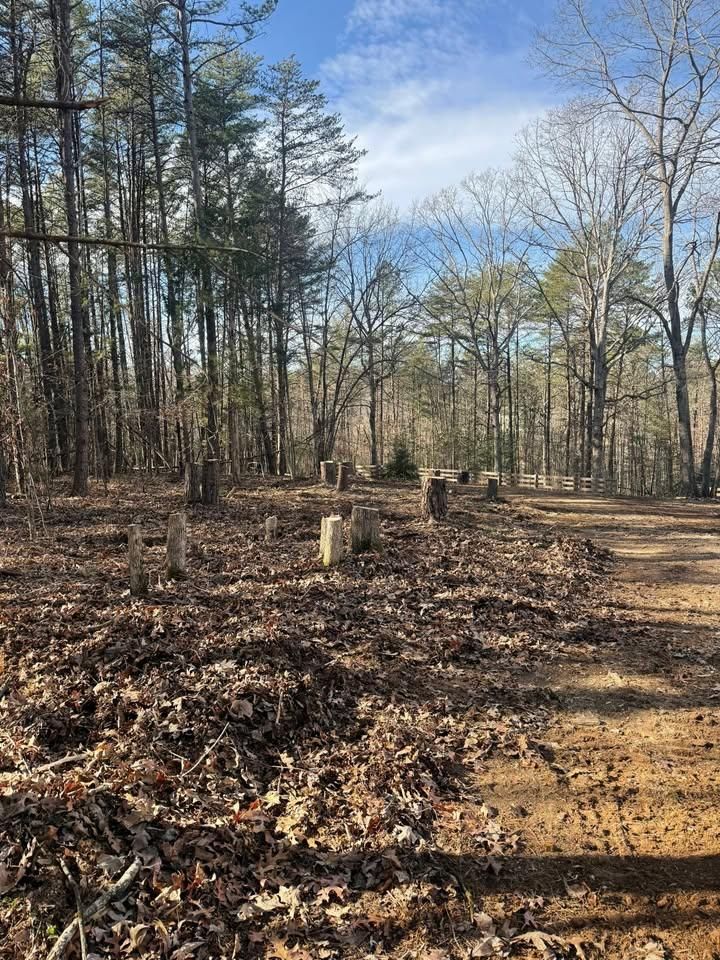  for Chiles Lawn & Landscaping in Gordonsville, VA