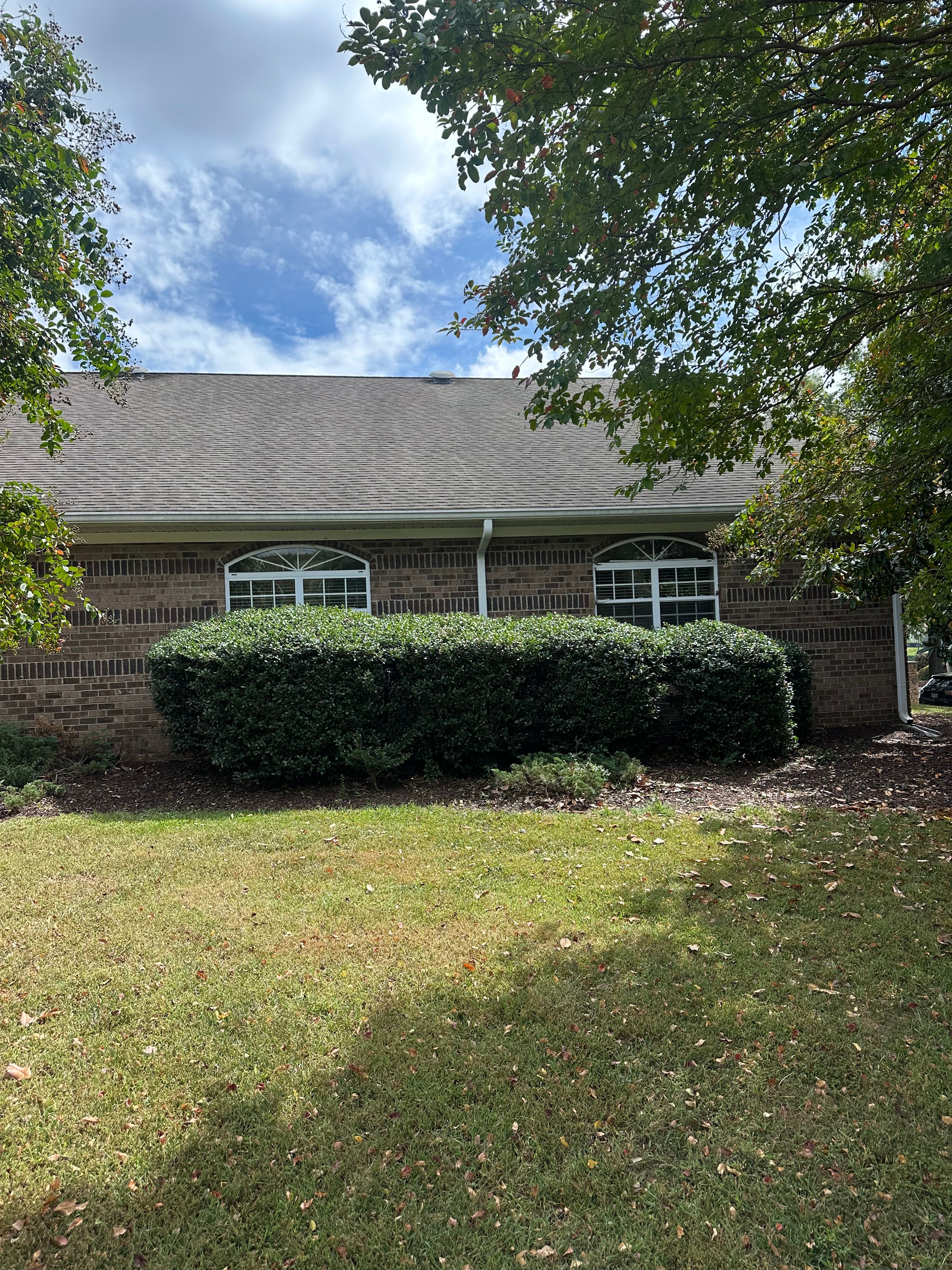  for Pecina Pine Needles in Monroe, NC