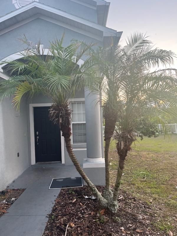  for Mitchell Lawn Service in Odessa, FL