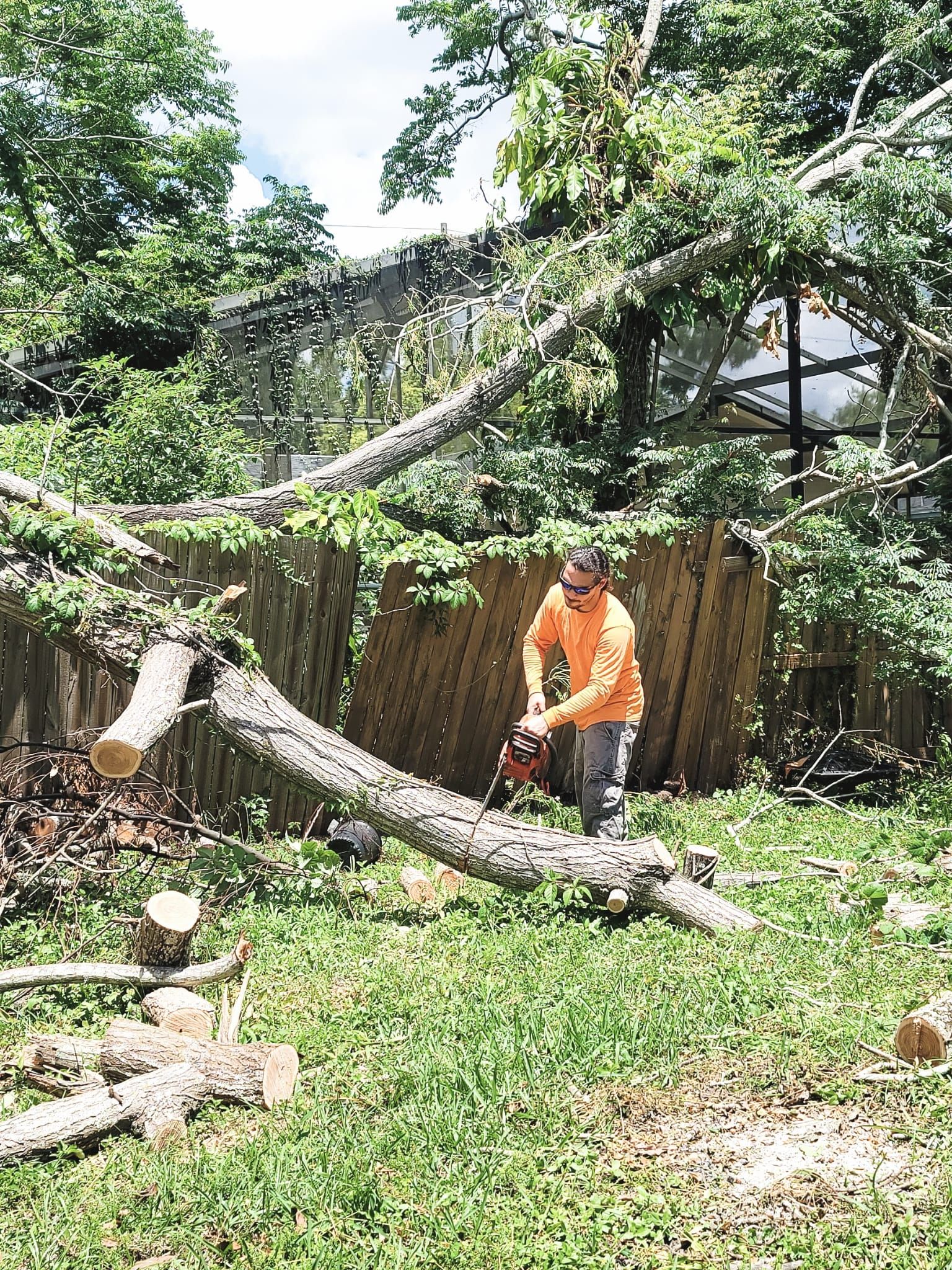 All Photos for Highlife Tree Care And Landscaping in Altamonte Springs, FL