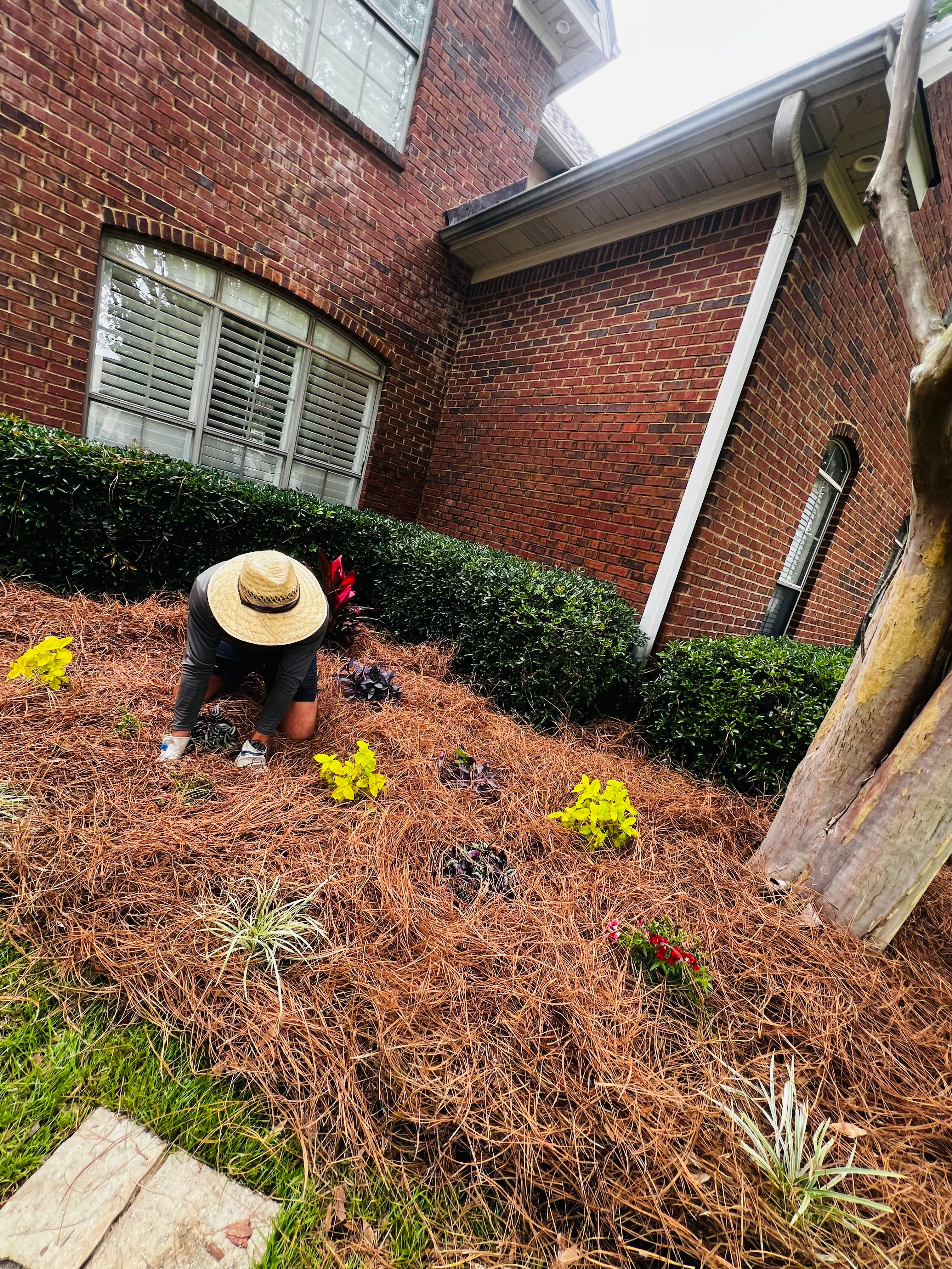  for Enhanced Landscape in Daphne, AL