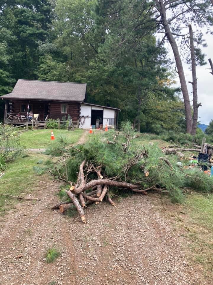  for Ground To Sky Tree Care in Asheville, North Carolina