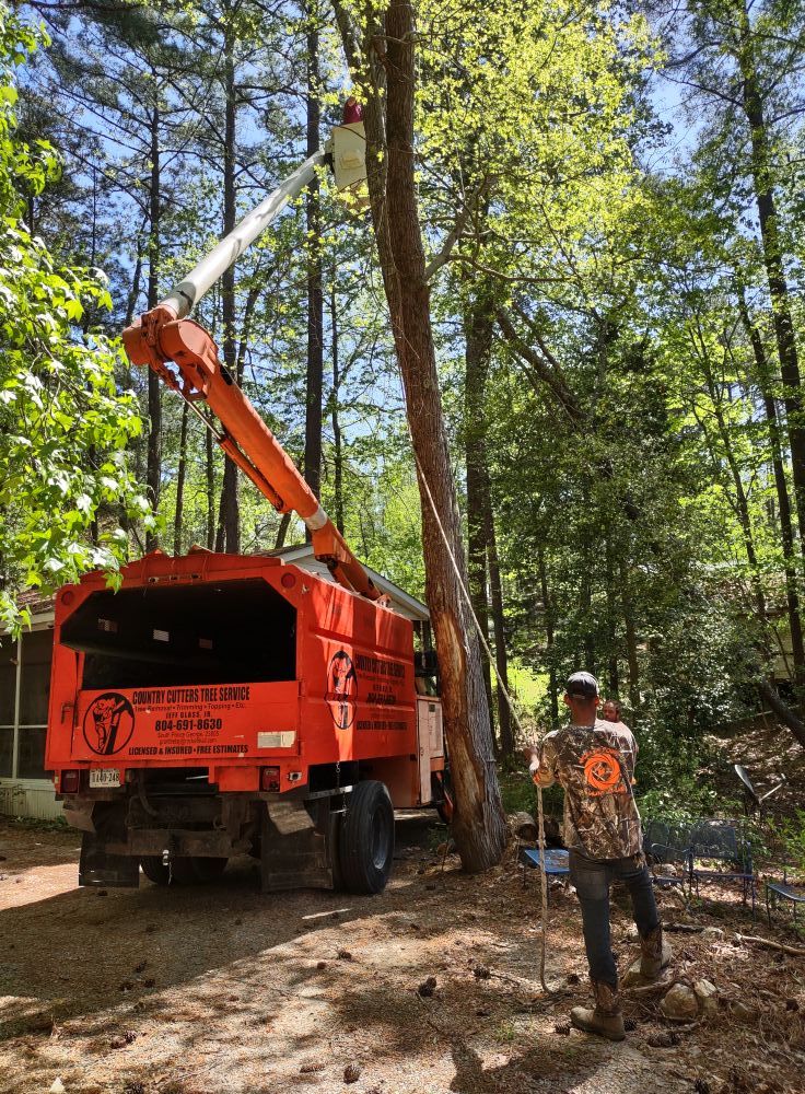  for Country Cutters Tree Service in Prince George, VA