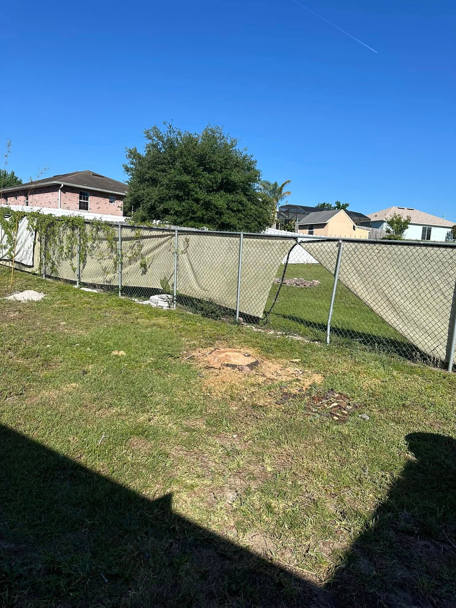  for Narrow Path Tree Service in Deland, FL