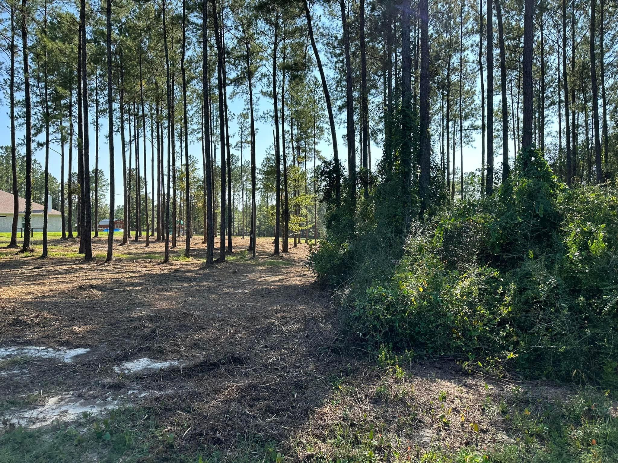 All Photos for White’s Land Maintenance in Milton,, FL