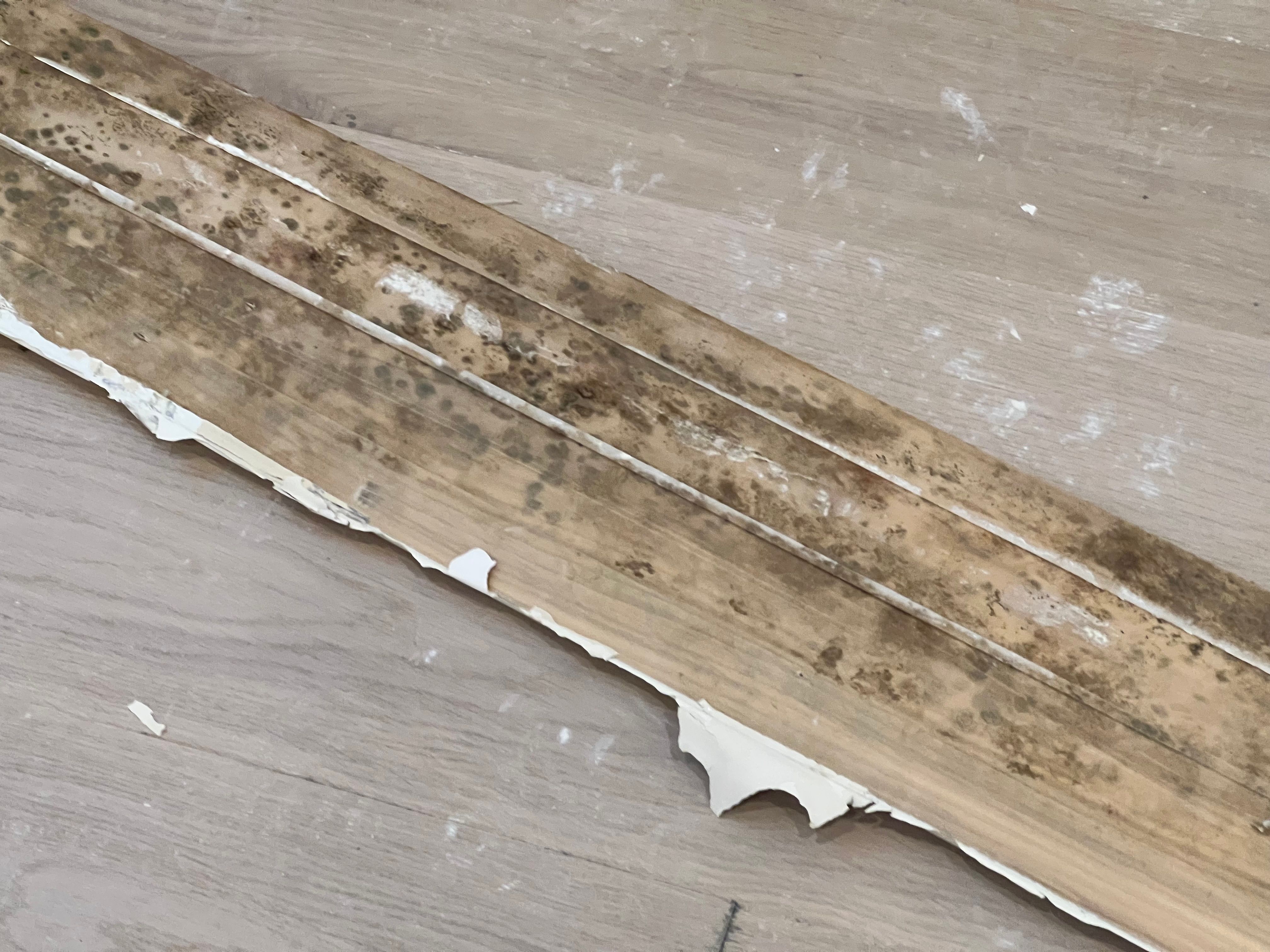  for N&D Restoration Services When Disaster Strikes, We Come In in Cape Coral,  FL