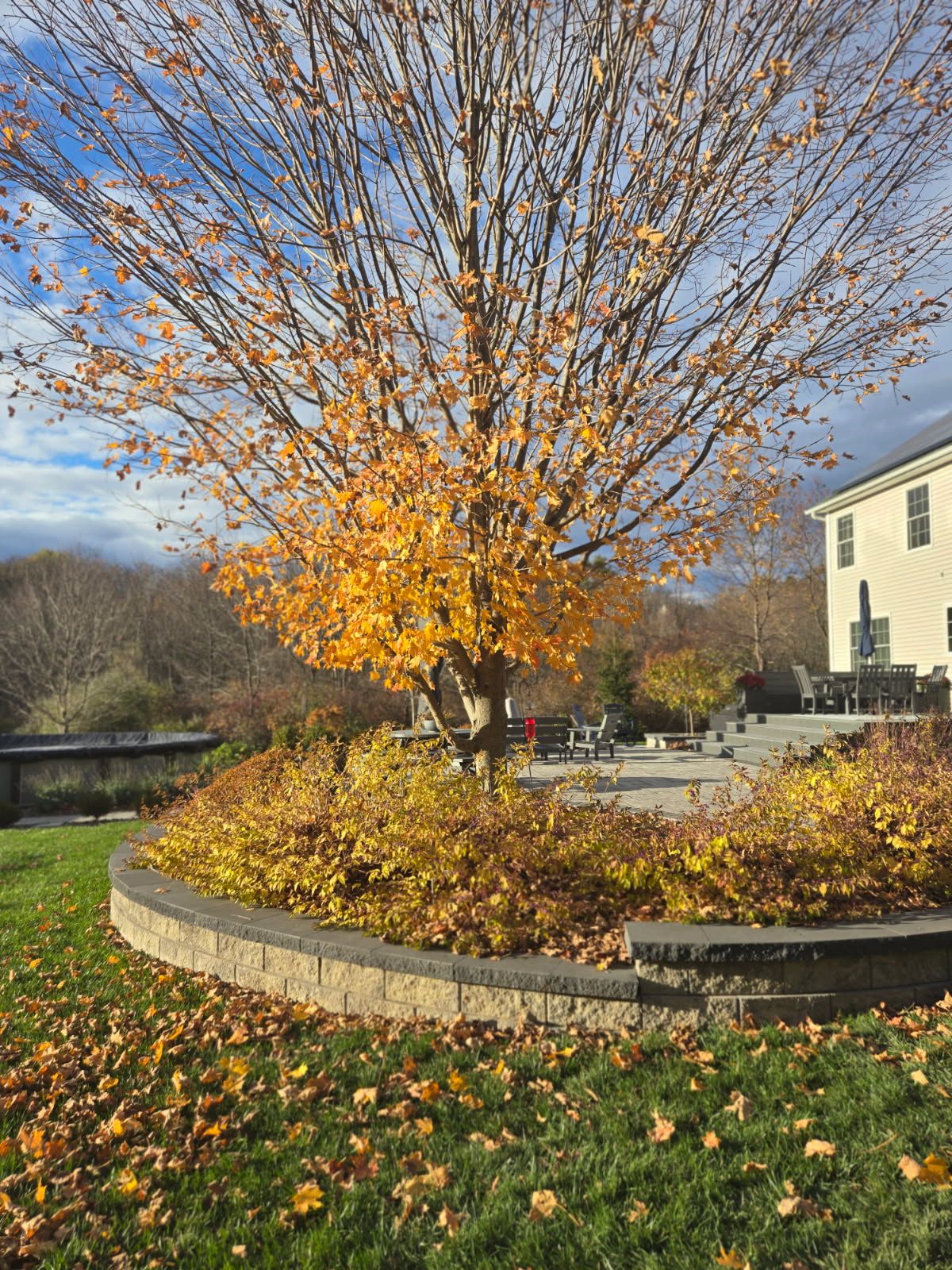  for Tony Monaco Landscaping Inc. in Orange County, NY