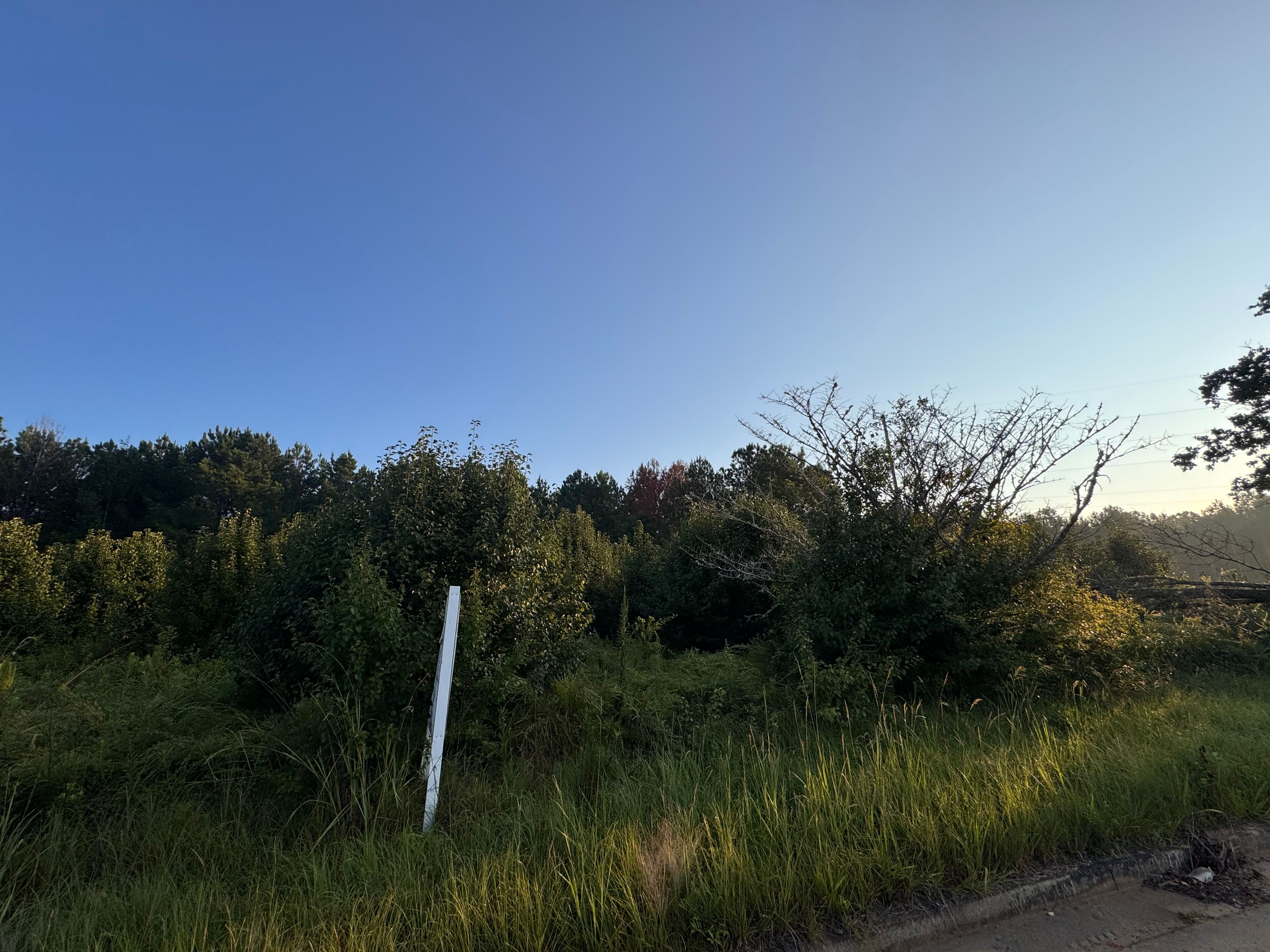  for Bryant's Land Services in Forsyth, GA