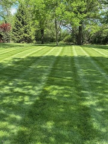 All Photos for Chief Lawn Care in Lee's Summit, MO