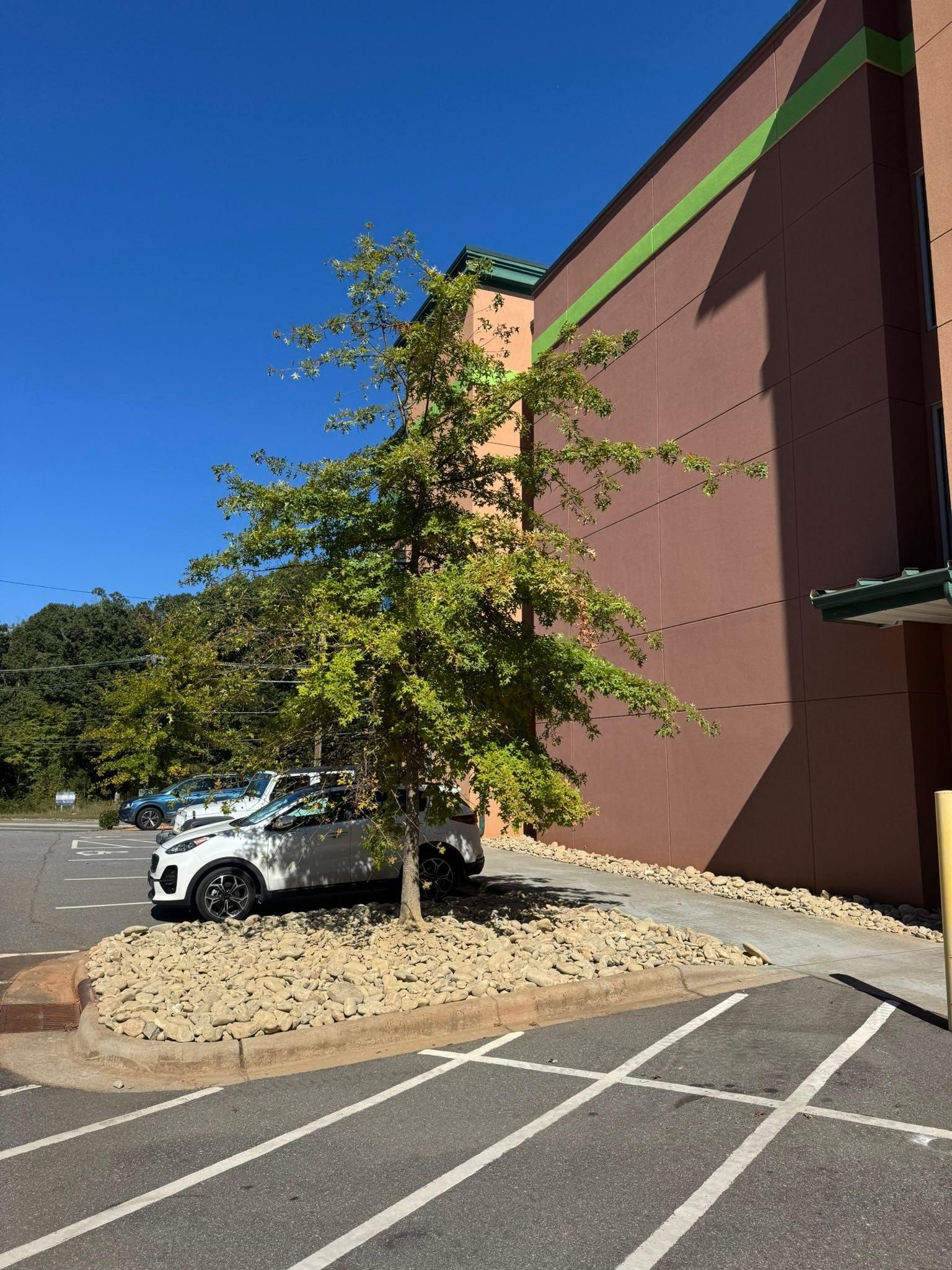  for Southern Turf & Landscape in Concord, NC