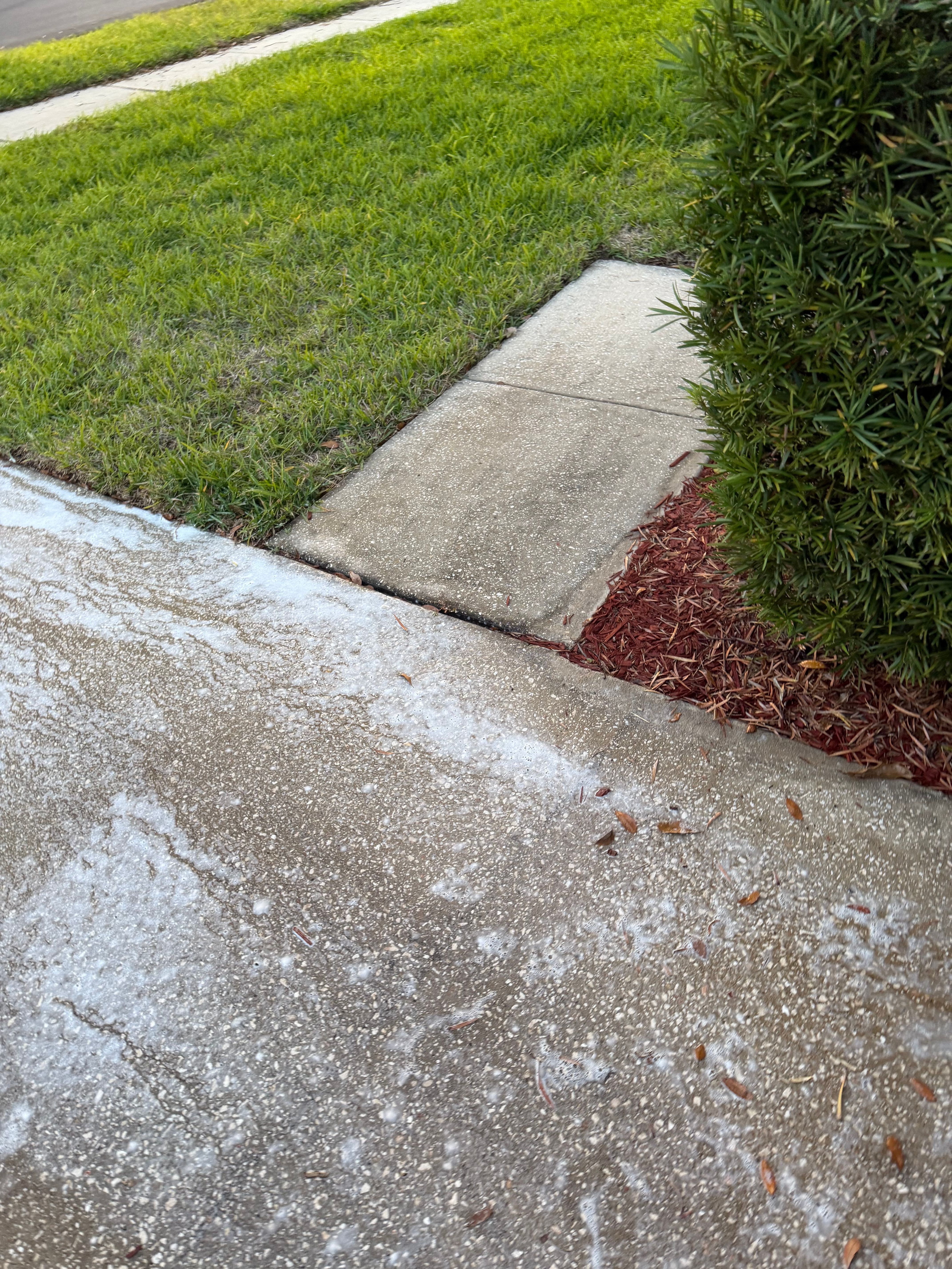  for The Yardman in Tampa, FL