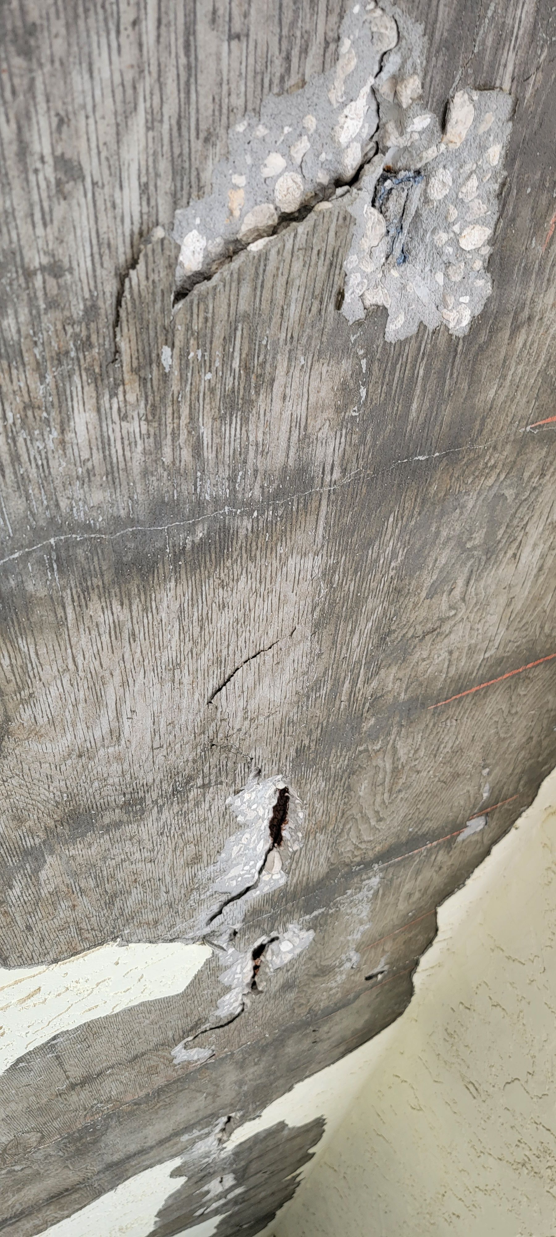  for Millenium Construction & Property Management in Tampa, FL