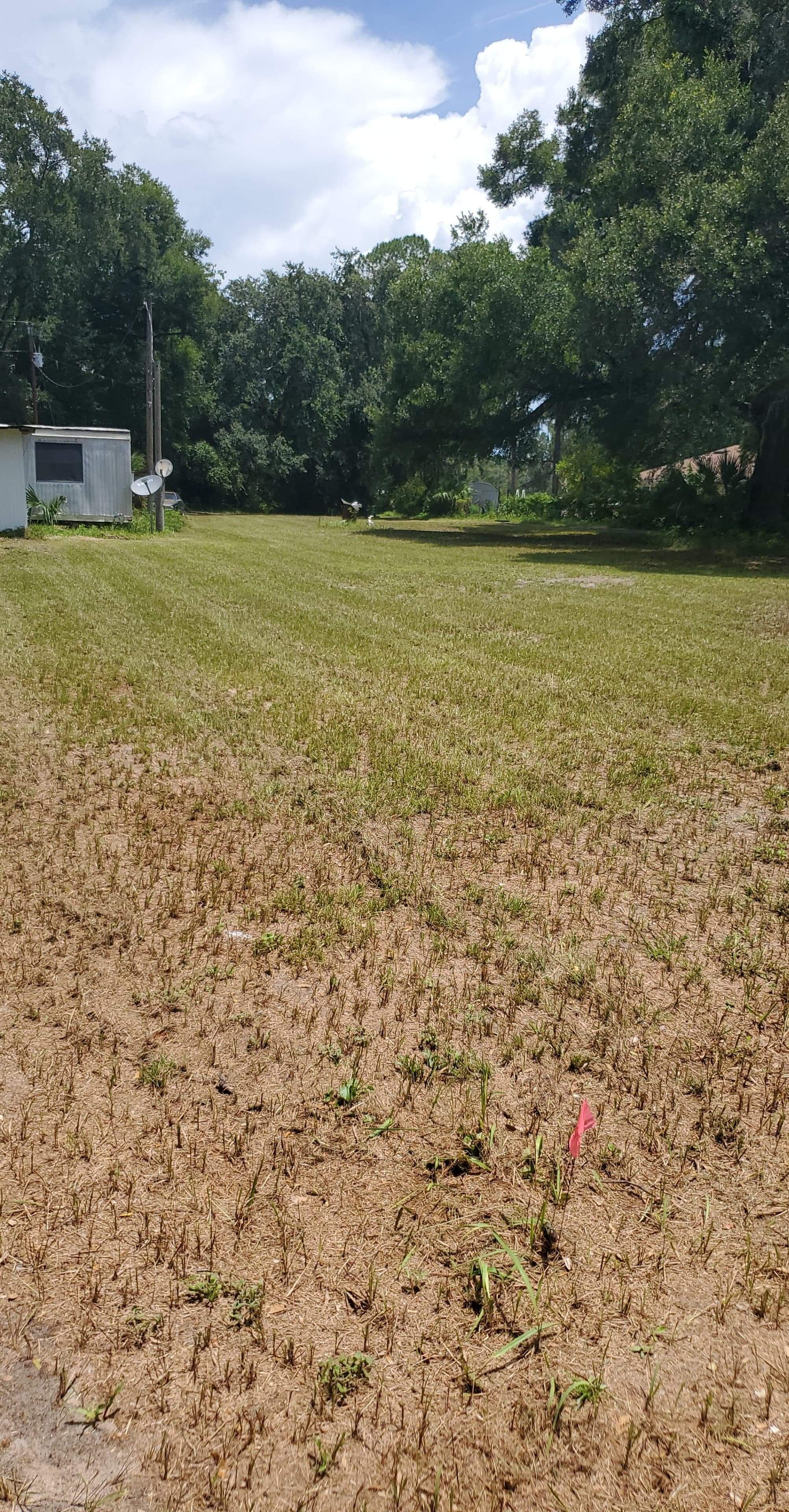  for Village Lawn Services LLC in Lake Panasoffkee, FL