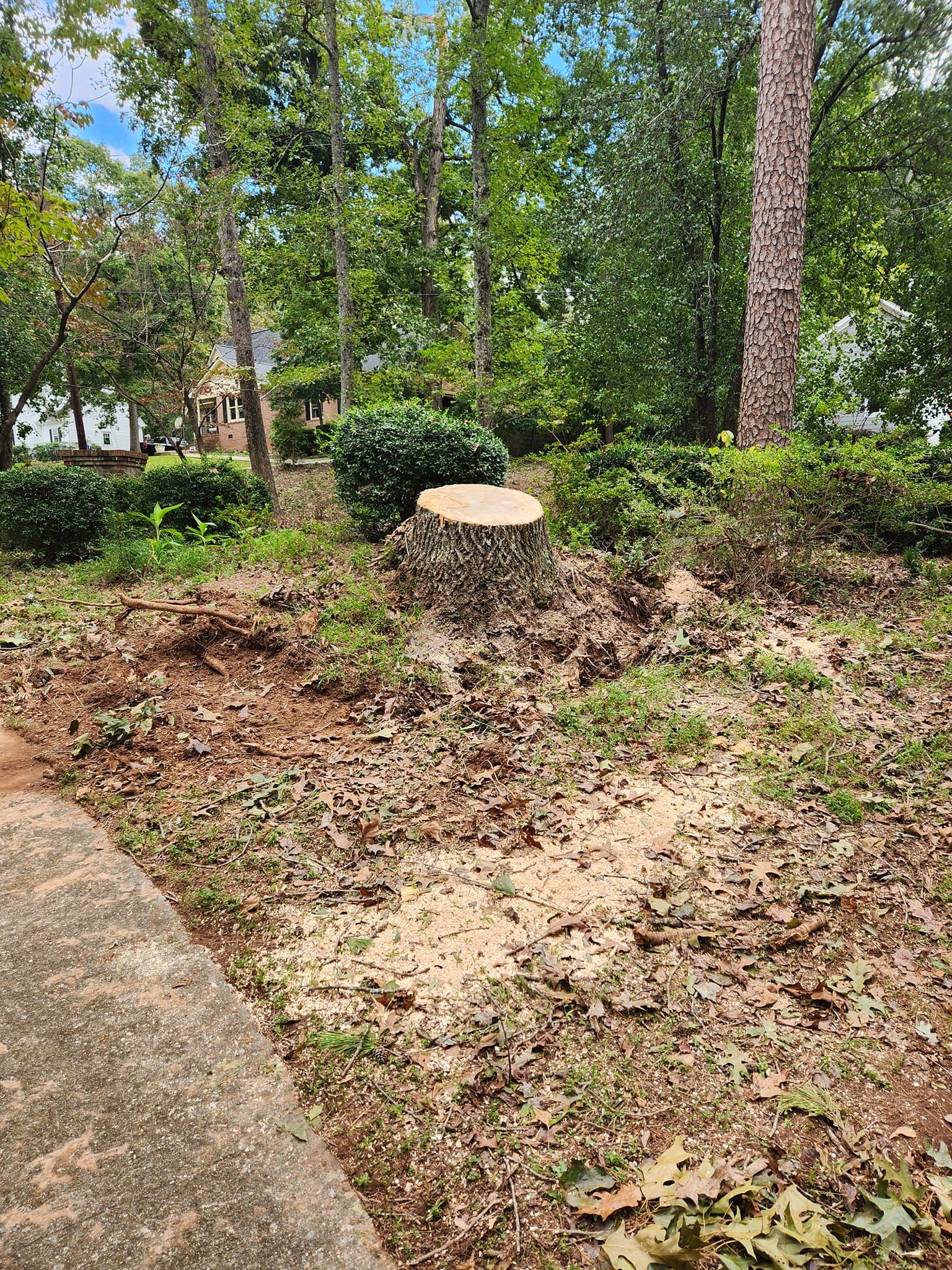 Tree Removal for Stumpbusters Tree Service in Louisa County, VA