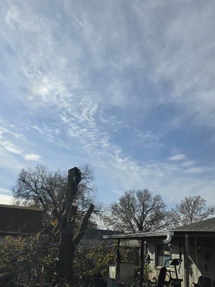  for Oklahoma Tree Guy in Bartlesville, OK