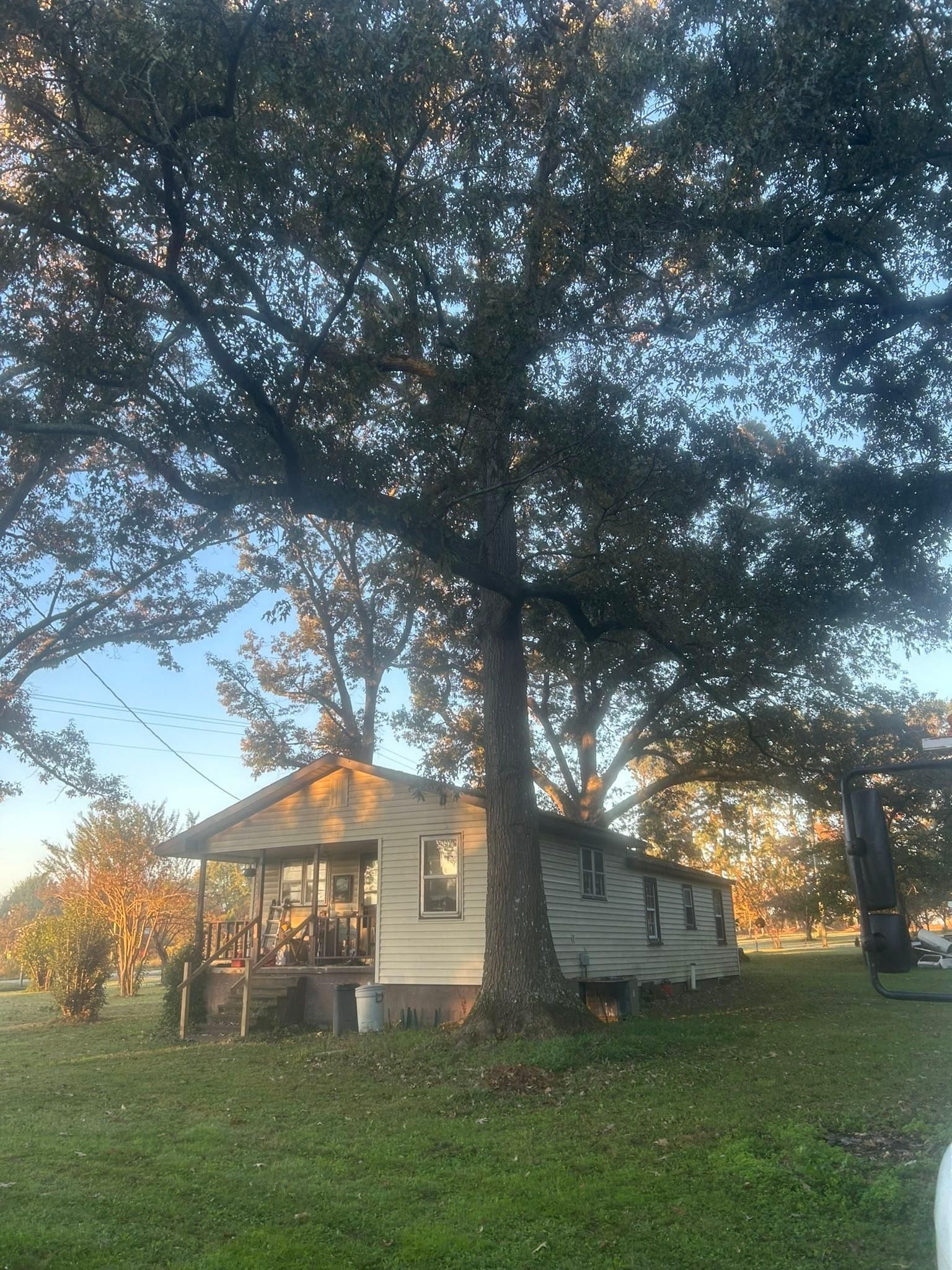  for McBee’s Tree Service in Sewanee, TN