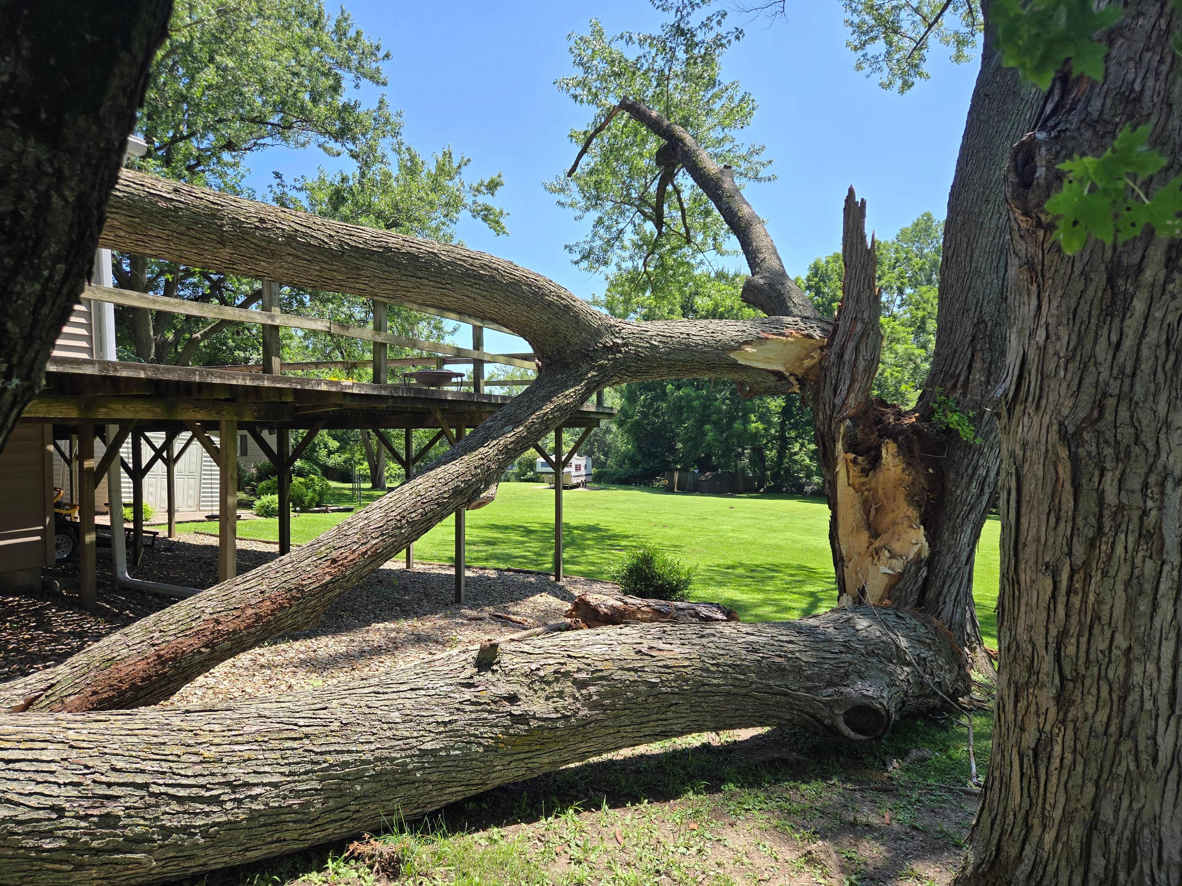  for Lawn Ranger Yard And Tree Service LLC in Ottumwa, IA