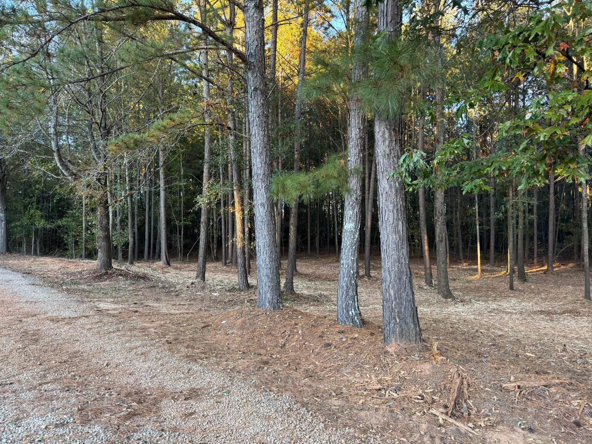  for KLNAX Enterprises in Newton County, GA