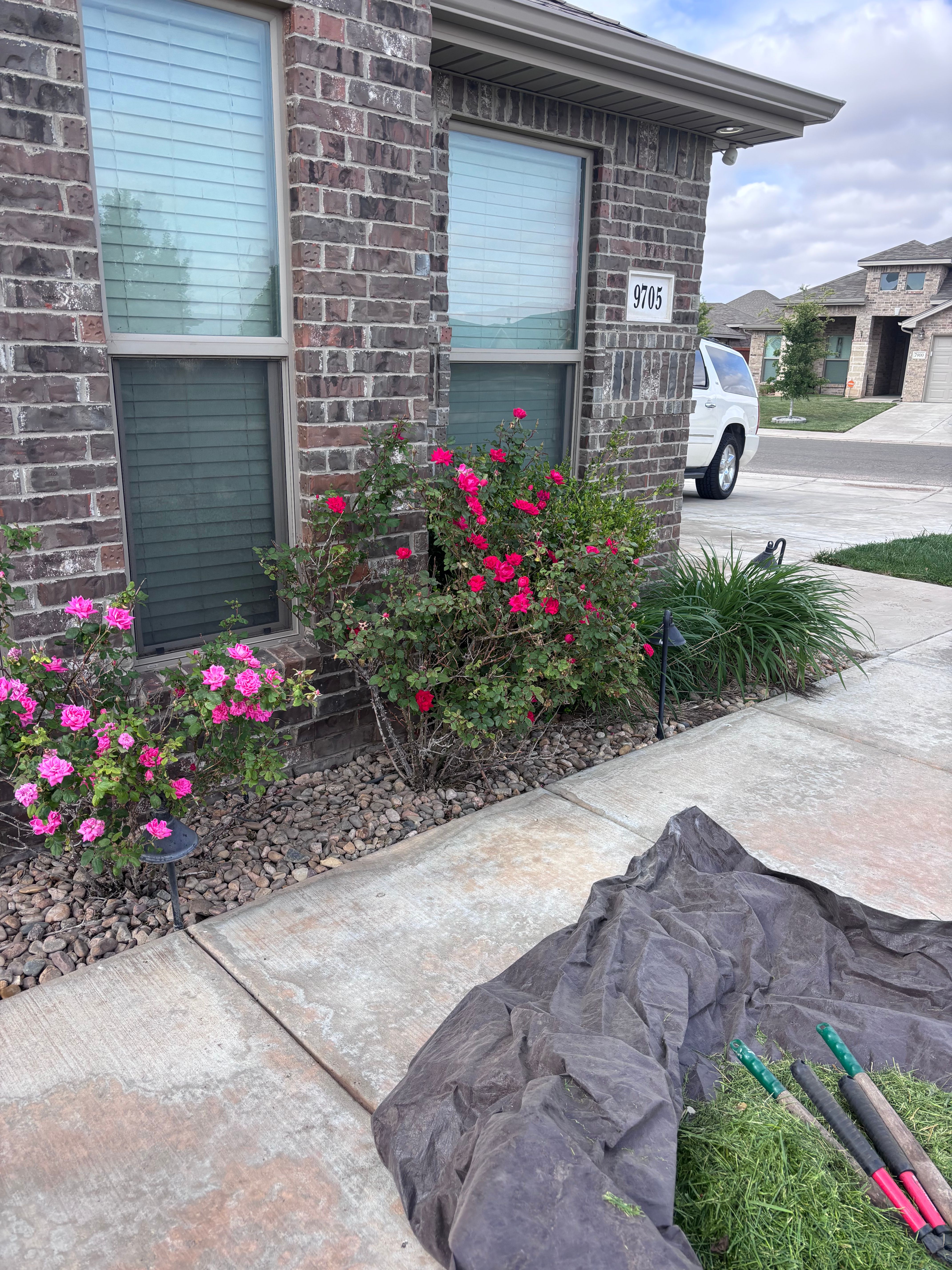  for Marple Services in Amarillo, TX