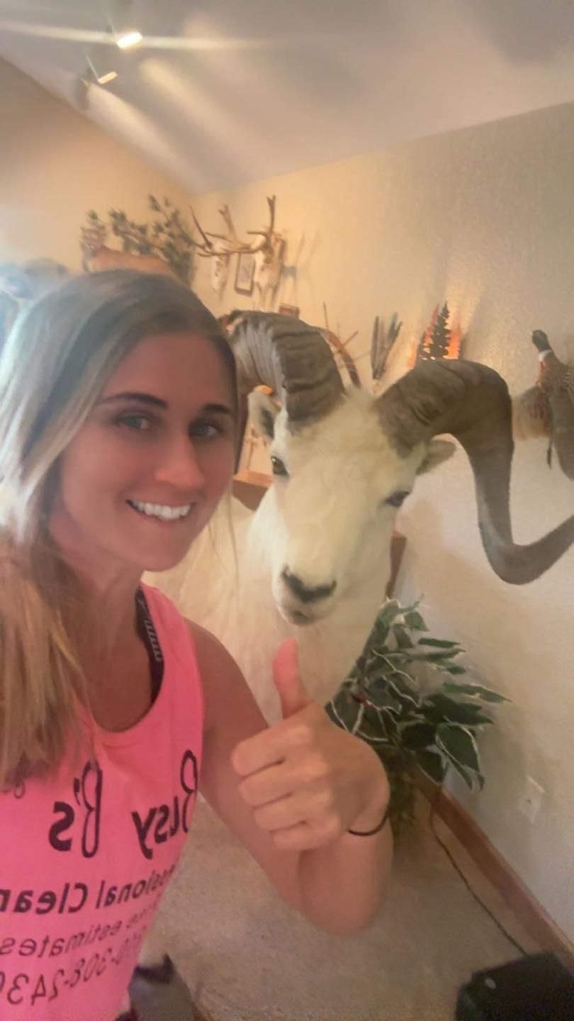 All Photos for Busy B's Professional Cleaning in Birch Run, MI