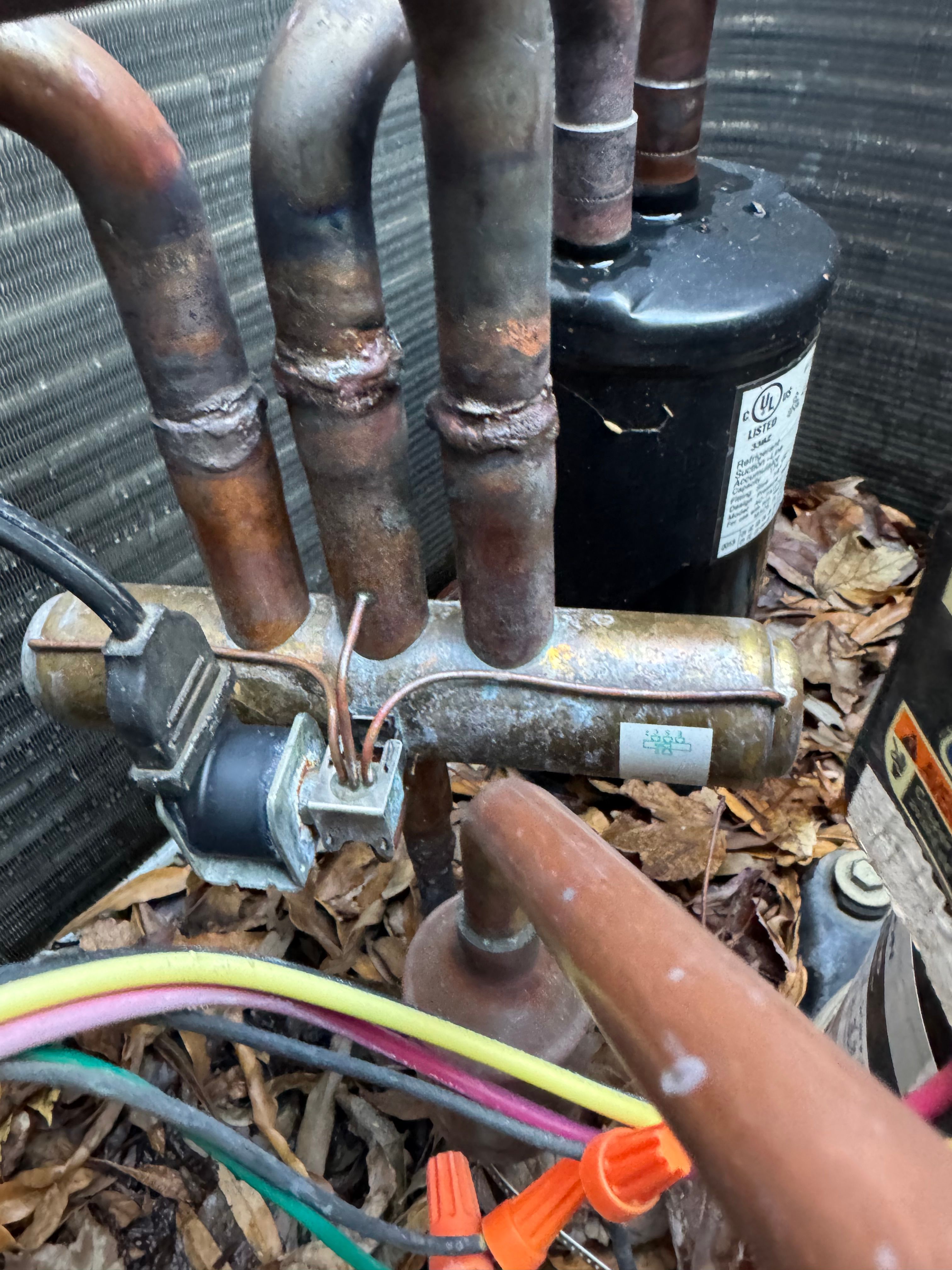  for College Grove Service Company in College Grove, TN