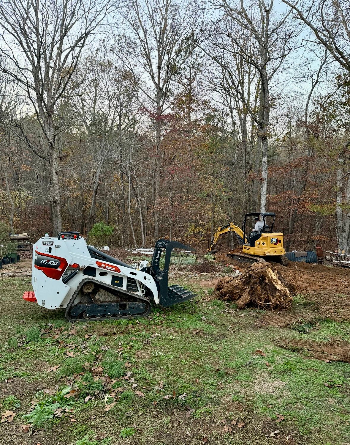  for Clear Tree Land Solutions in Dawson County, GA