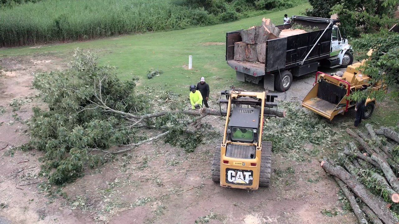  for Branch Out Tree Care LLC in Fredericksburg, VA