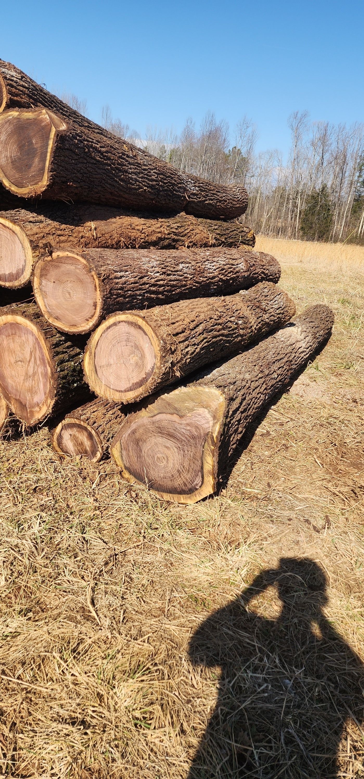  for 9 Oaks Tree Service and Excavation in Drakes Branch, VA